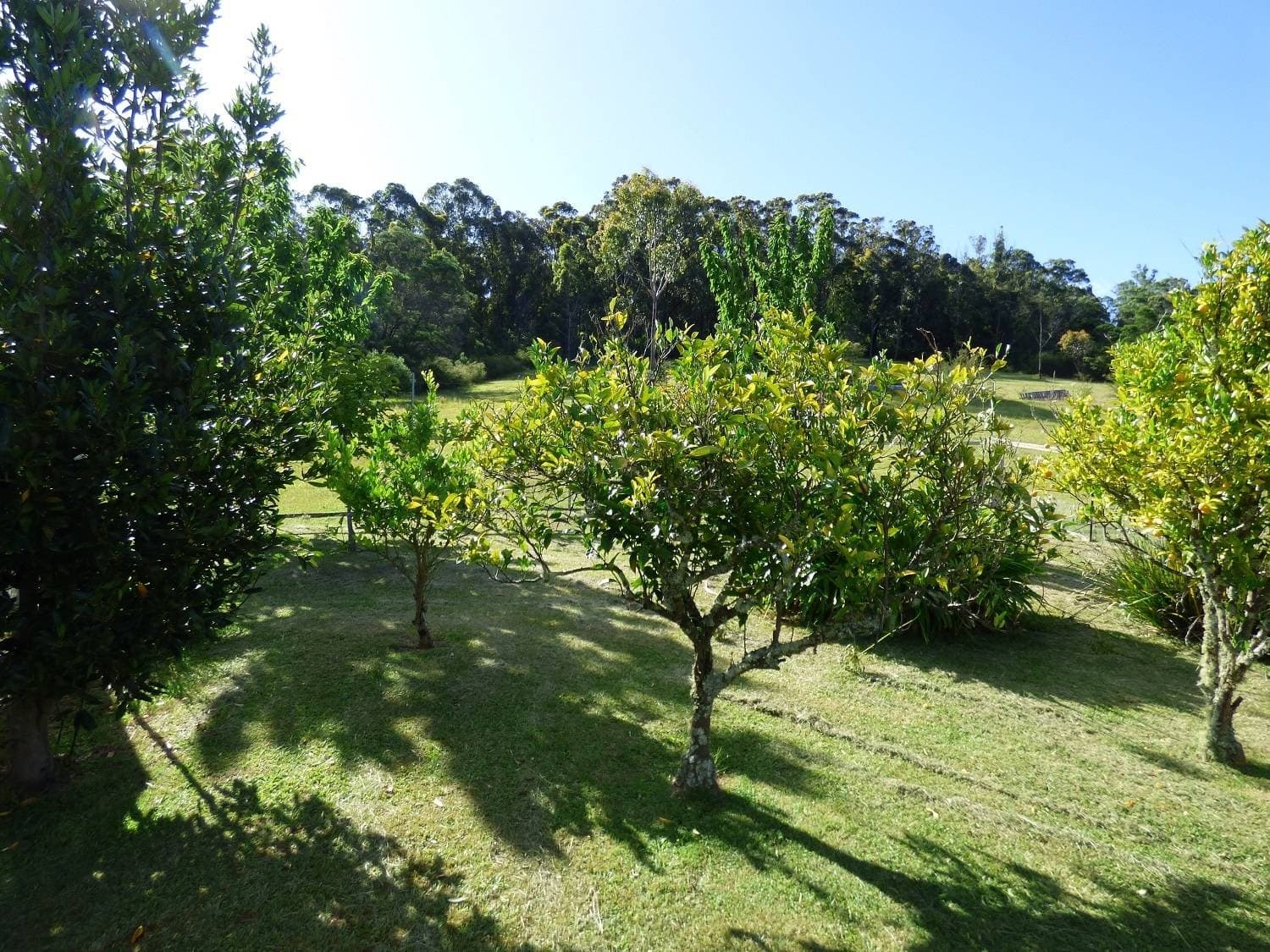 20 Peisleys Rd, GENOA Via, Mallacoota, Mallacoota - Thumbnail 5