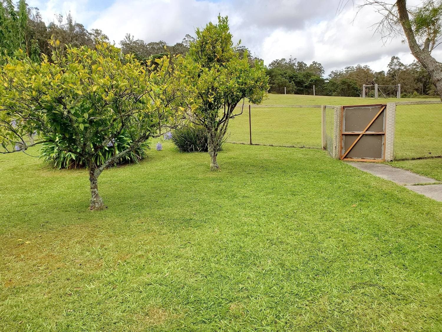20 Peisleys Rd, GENOA Via, Mallacoota, Mallacoota - Thumbnail 8