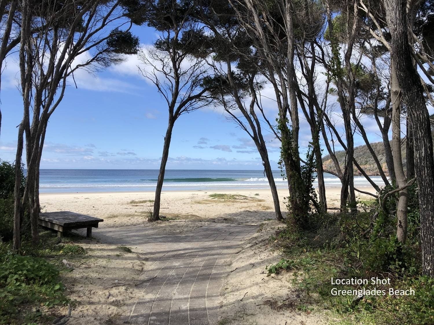 12 Adelaide Avenue, WONBOYN Via, Eden, Eden - Thumbnail 3