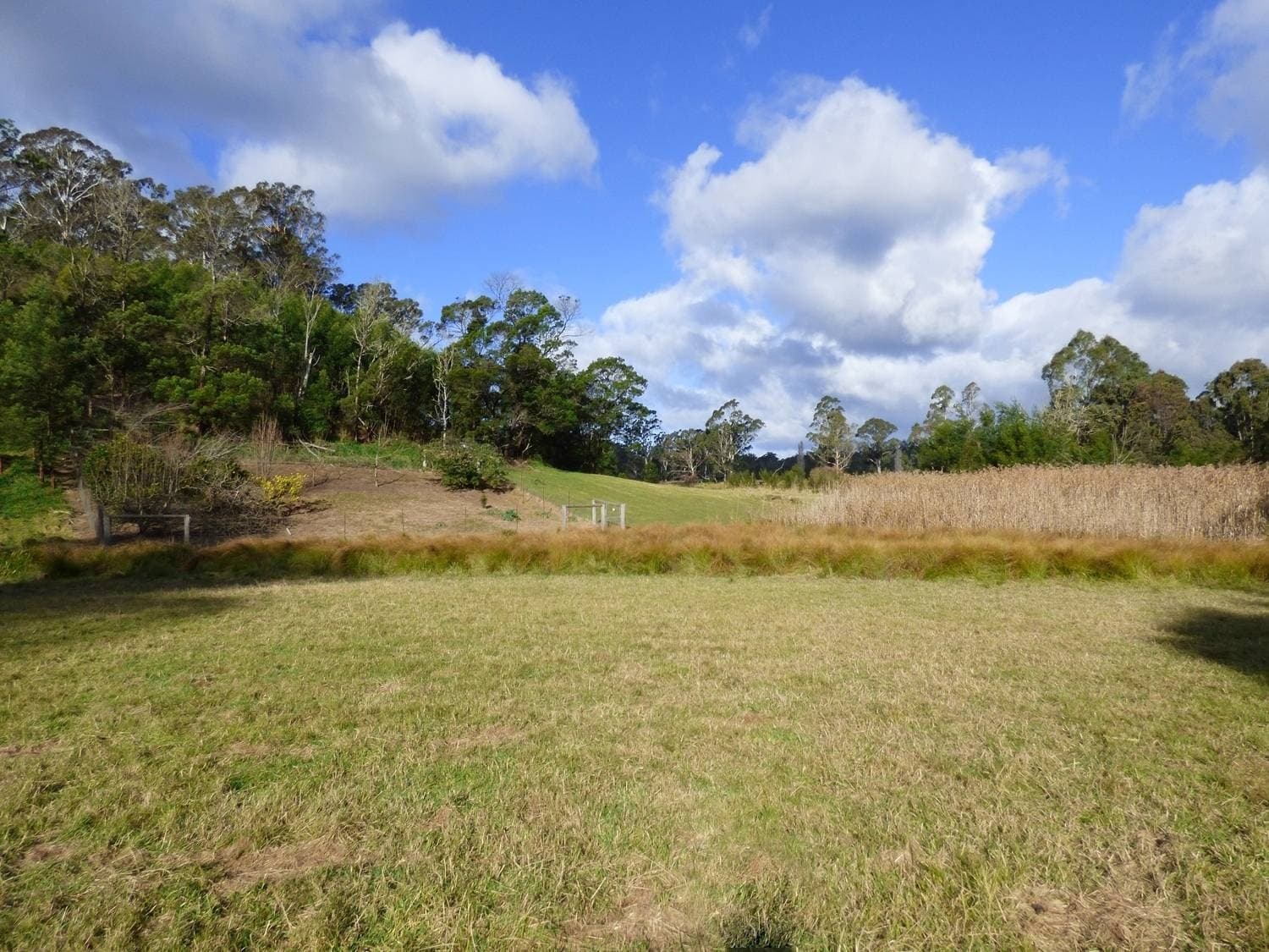 Lot 232 The Snake Track KIAH Via, Eden, Eden - Thumbnail 4