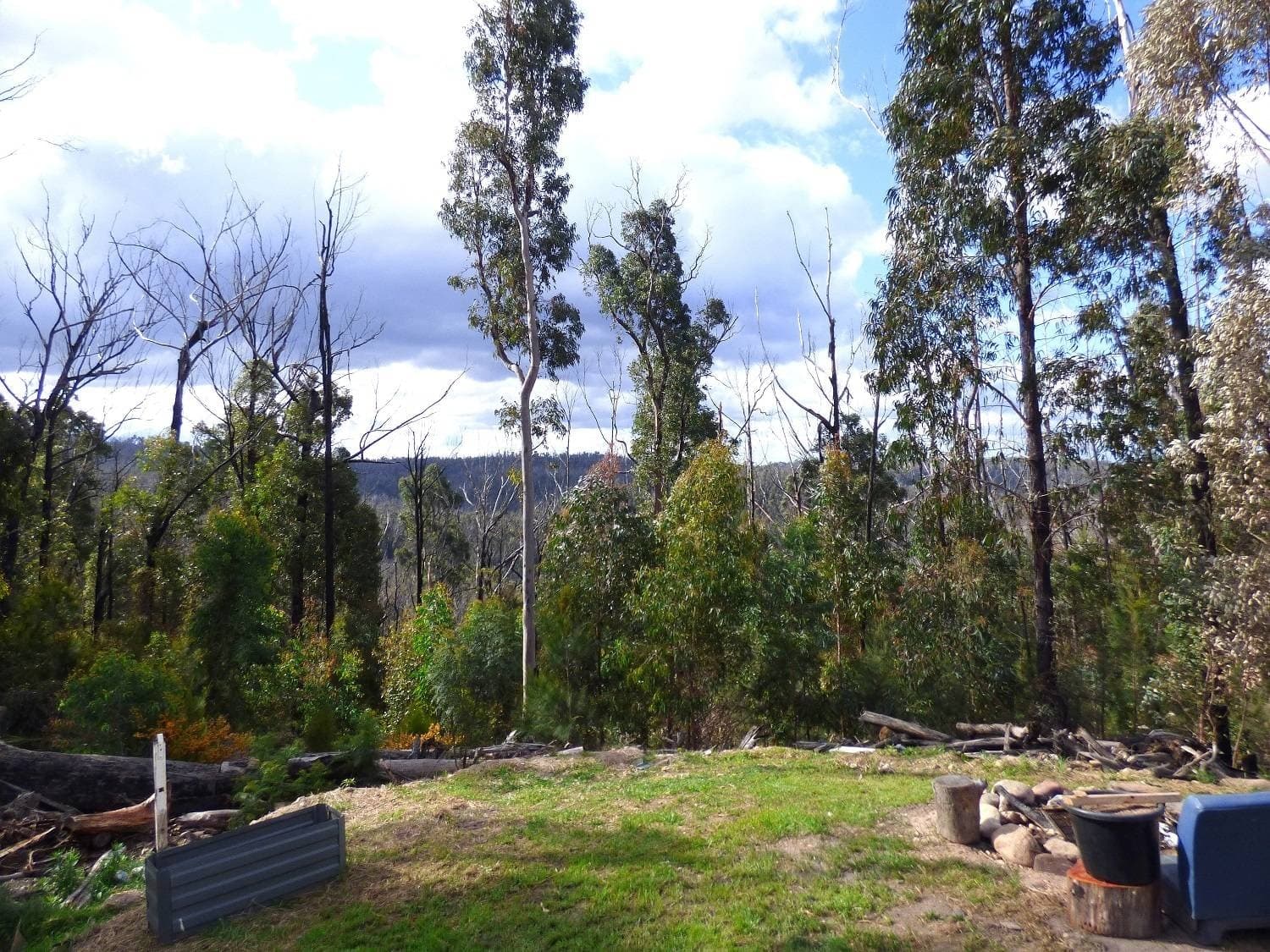 Lot 452 The Snake Track Via Kiah, Eden, Eden - Thumbnail 3