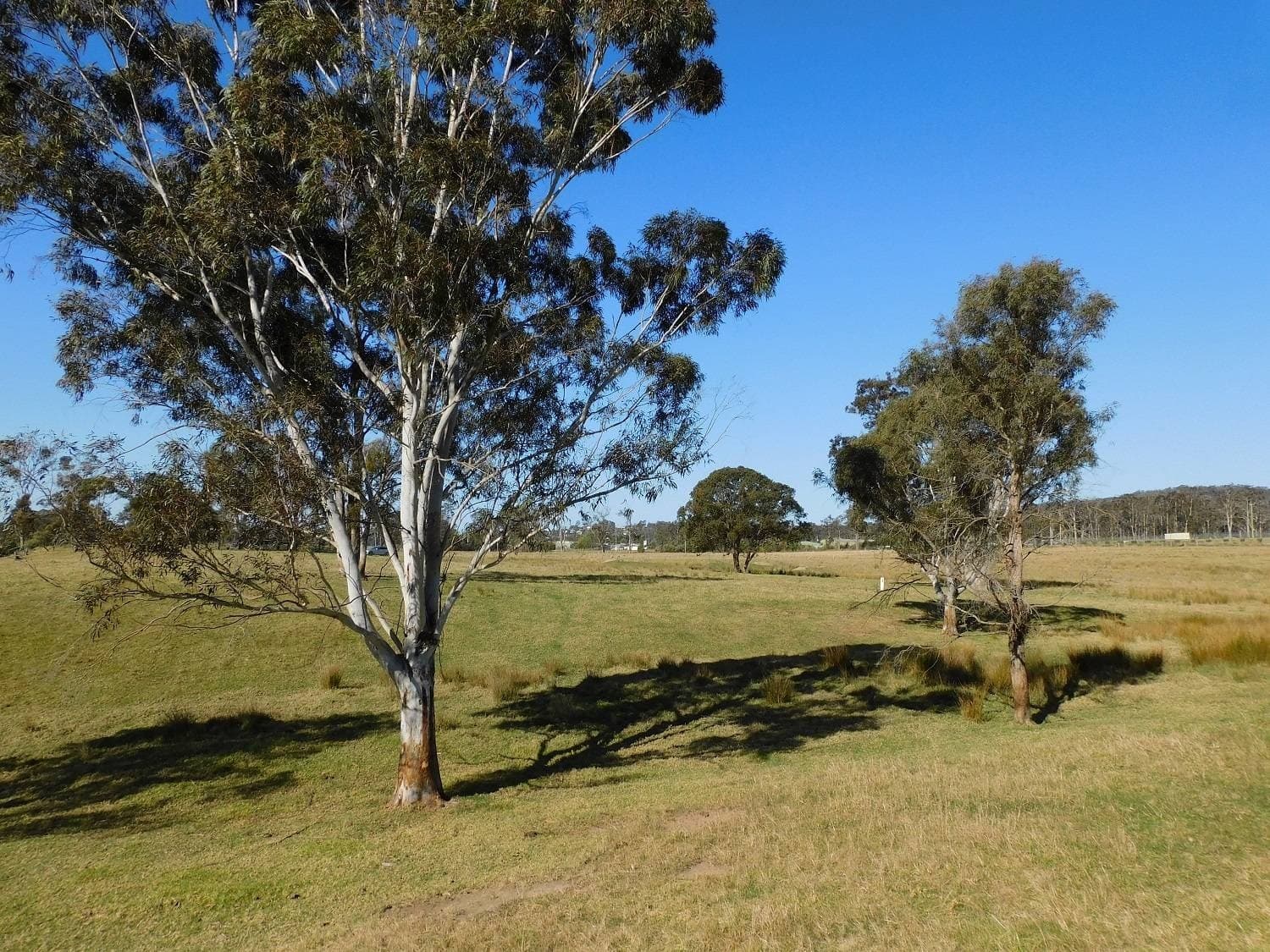 243 Mount Darragh Rd, South Pambula, South Pambula - Thumbnail 3
