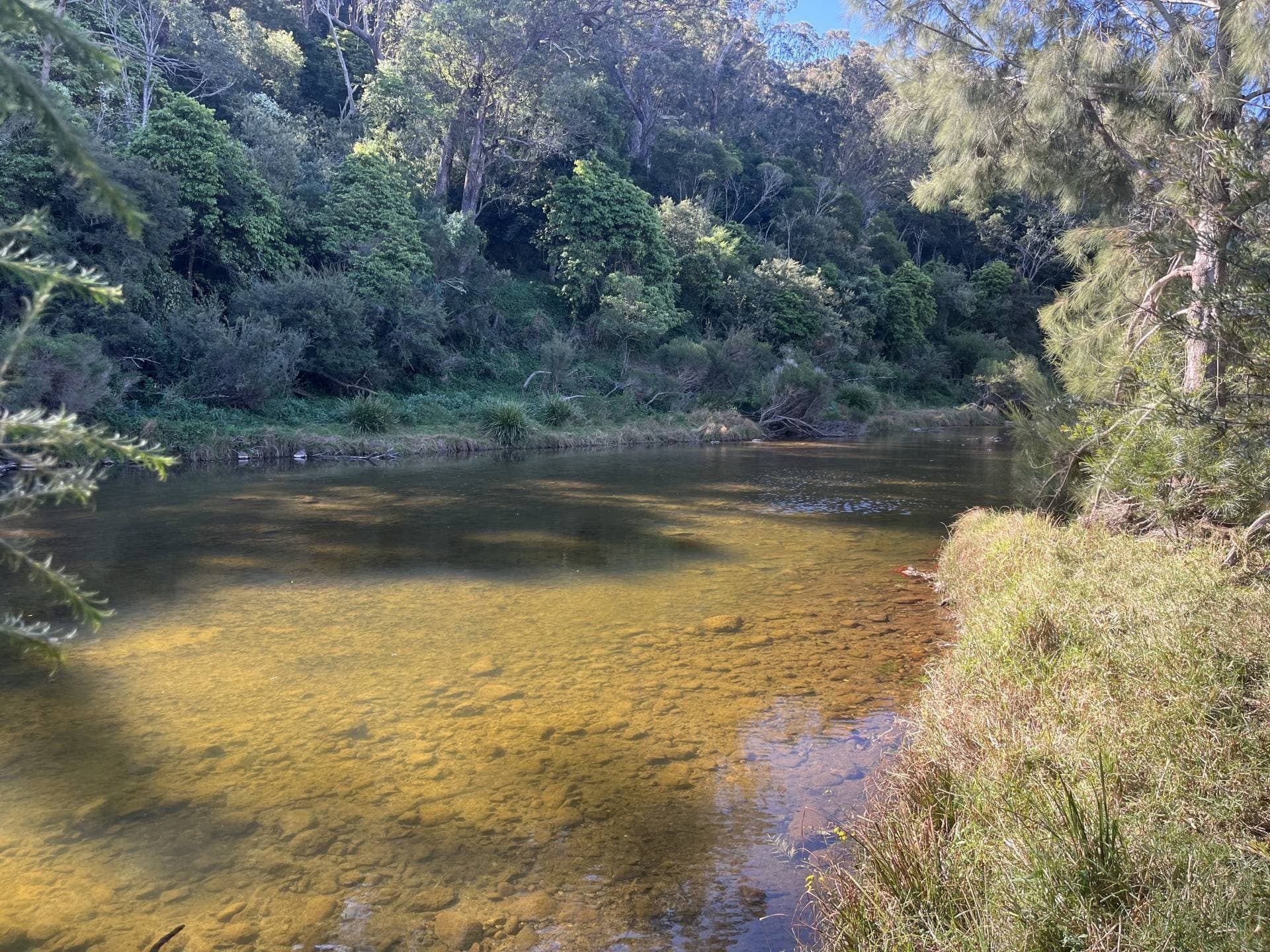 243 Mount Darragh Rd, South Pambula, South Pambula - Thumbnail 4