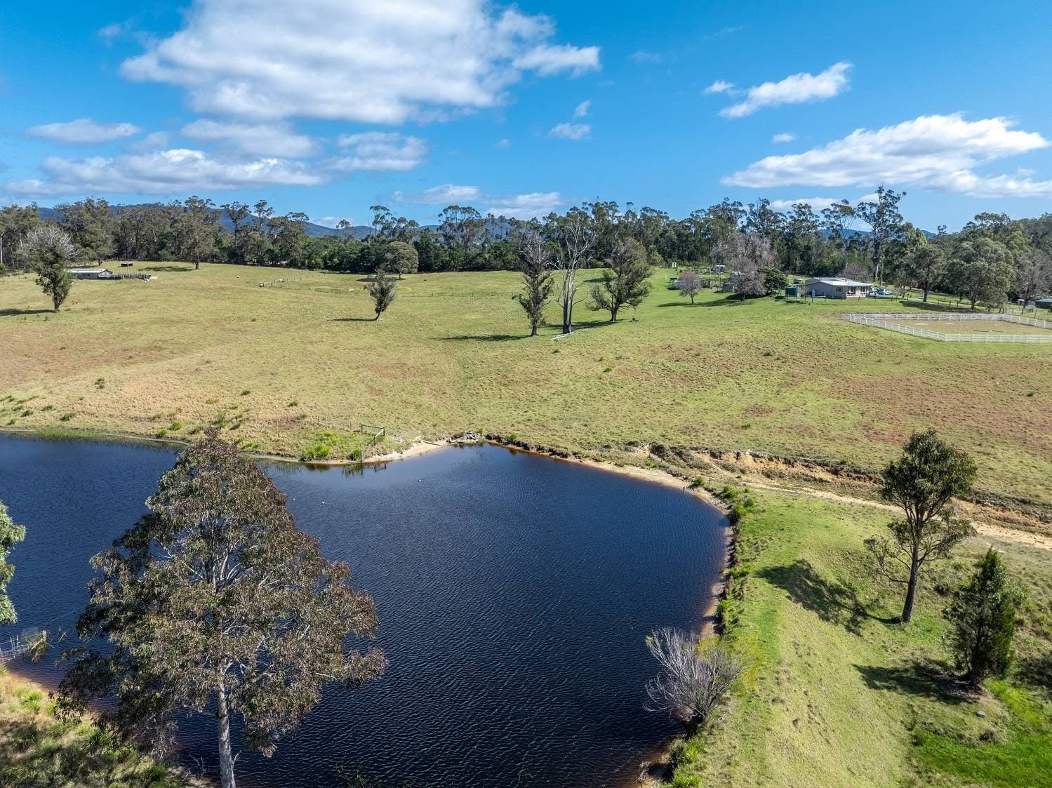243 Mount Darragh Rd, South Pambula, South Pambula - Thumbnail 5