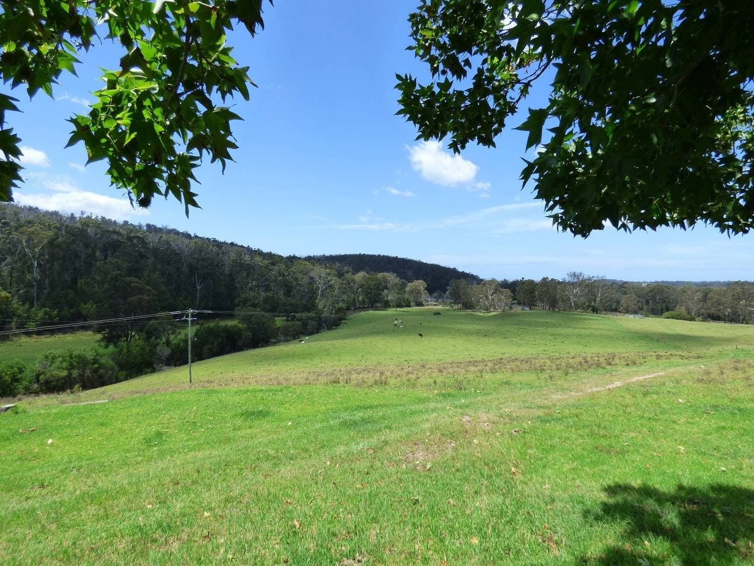 280 Nullica Short Cut Rd, NULLICA Via, Eden, Eden - Thumbnail 3