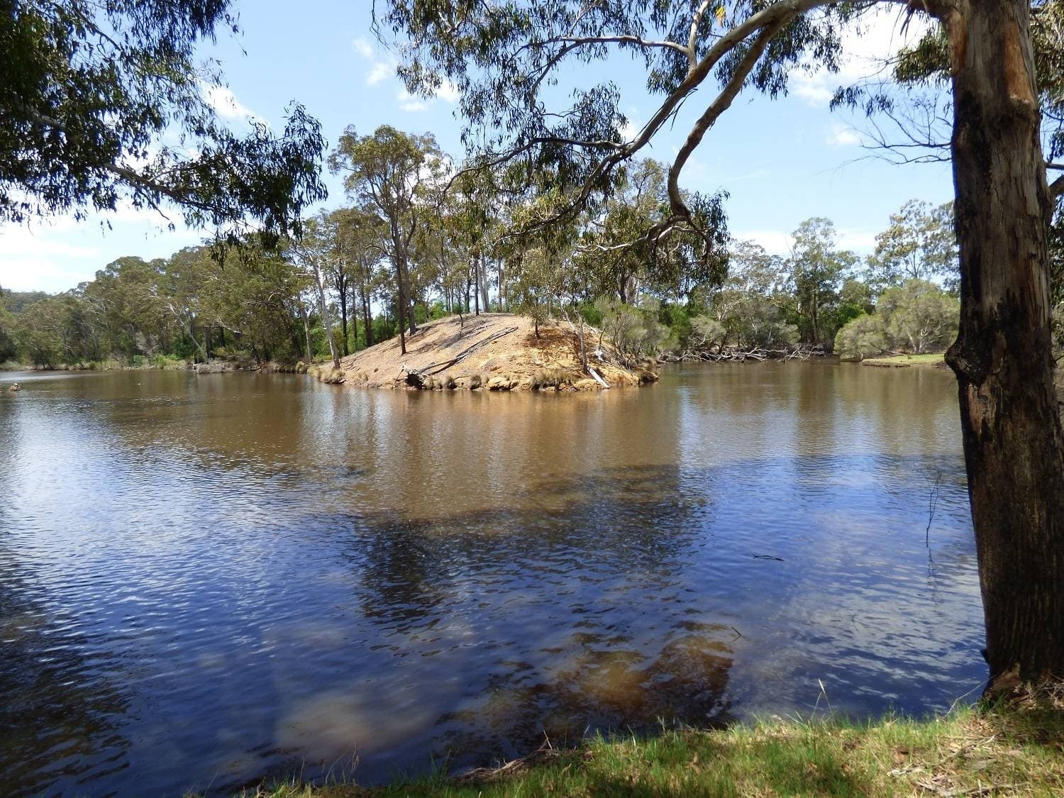280 Nullica Short Cut Rd, NULLICA Via, Eden, Eden - Thumbnail 4
