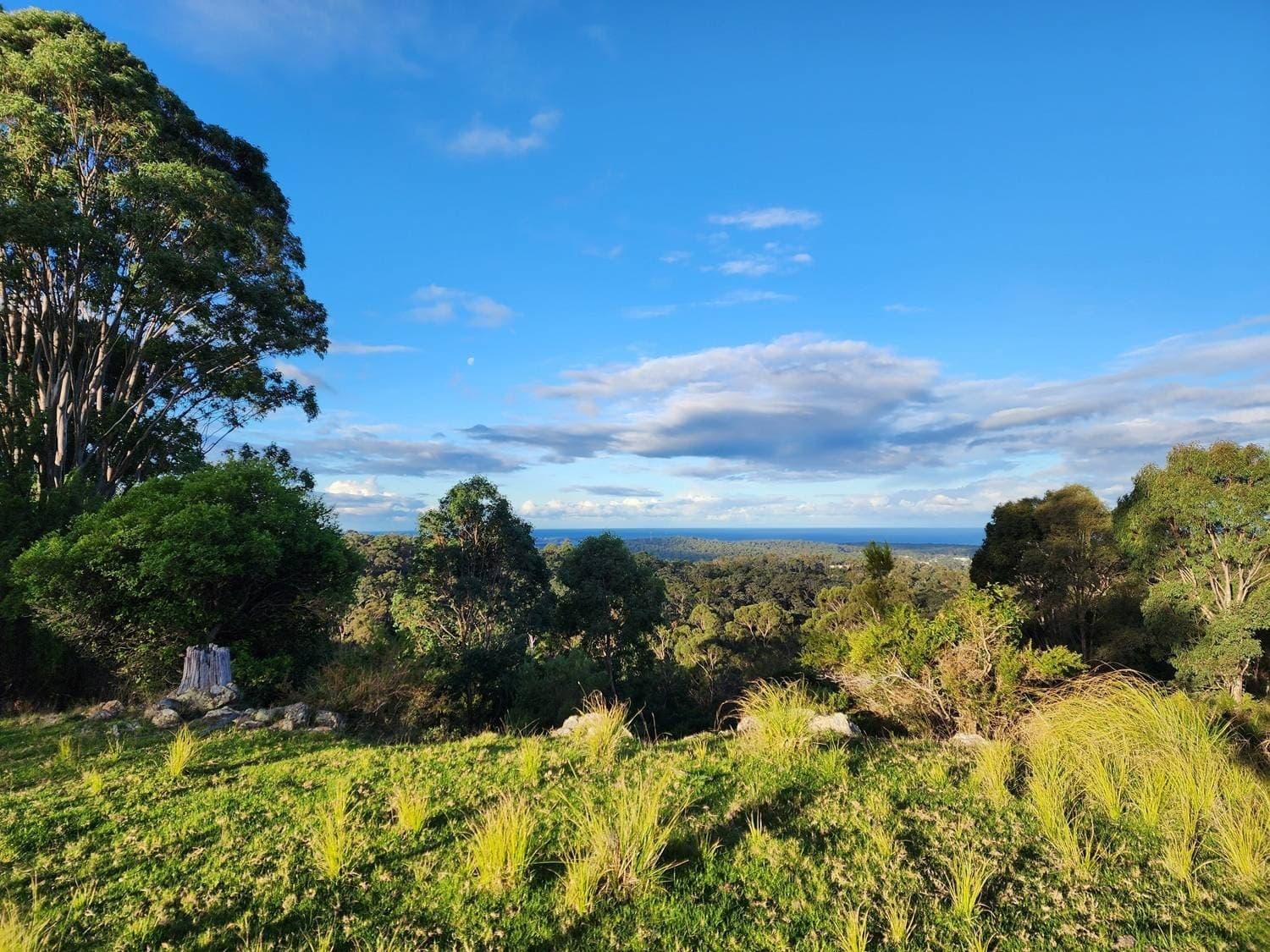 67 Omaru Lane, LOCHIEL Via, Pambula, Pambula - Thumbnail 2