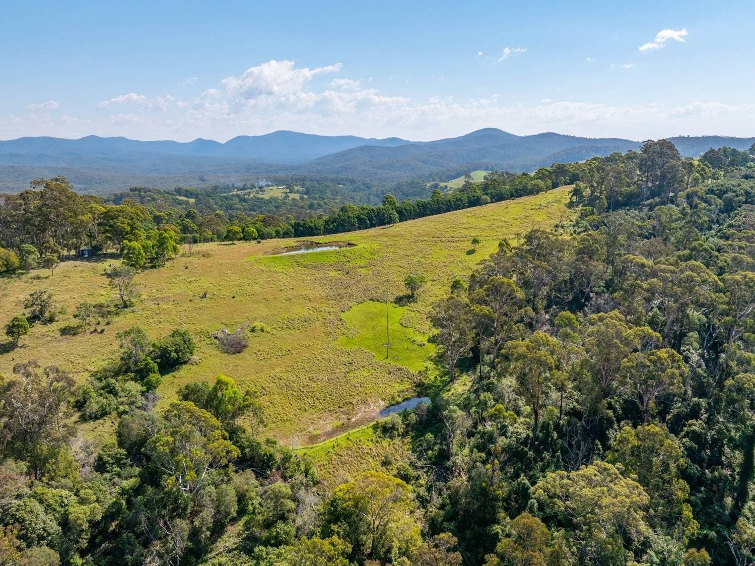 67 Omaru Lane, LOCHIEL Via, Pambula, Pambula - Thumbnail 5