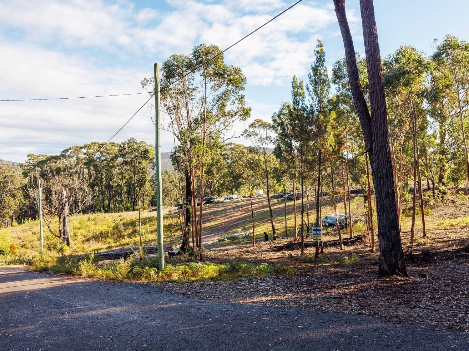 23 Adelaide Avenue, Wonboyn Via, Eden, Eden - Thumbnail 6