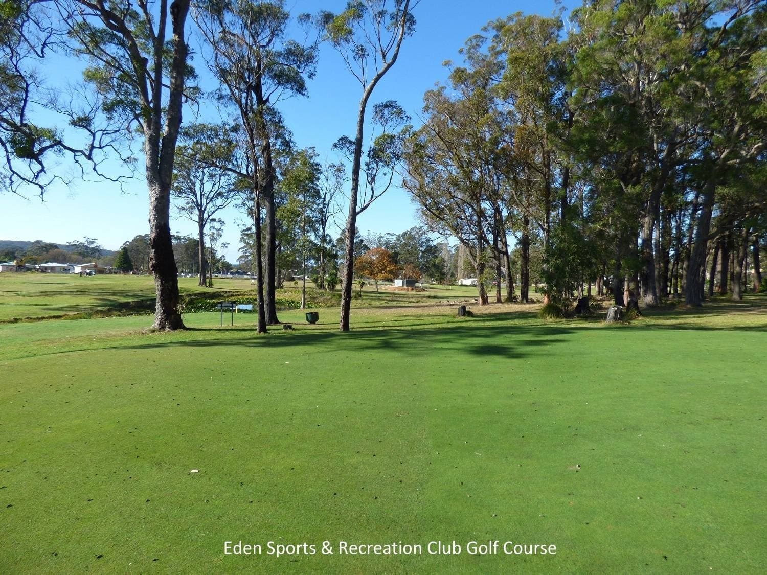 Site 40, Hawkins, 79 Princes Highway, Eden, Eden - Thumbnail 8