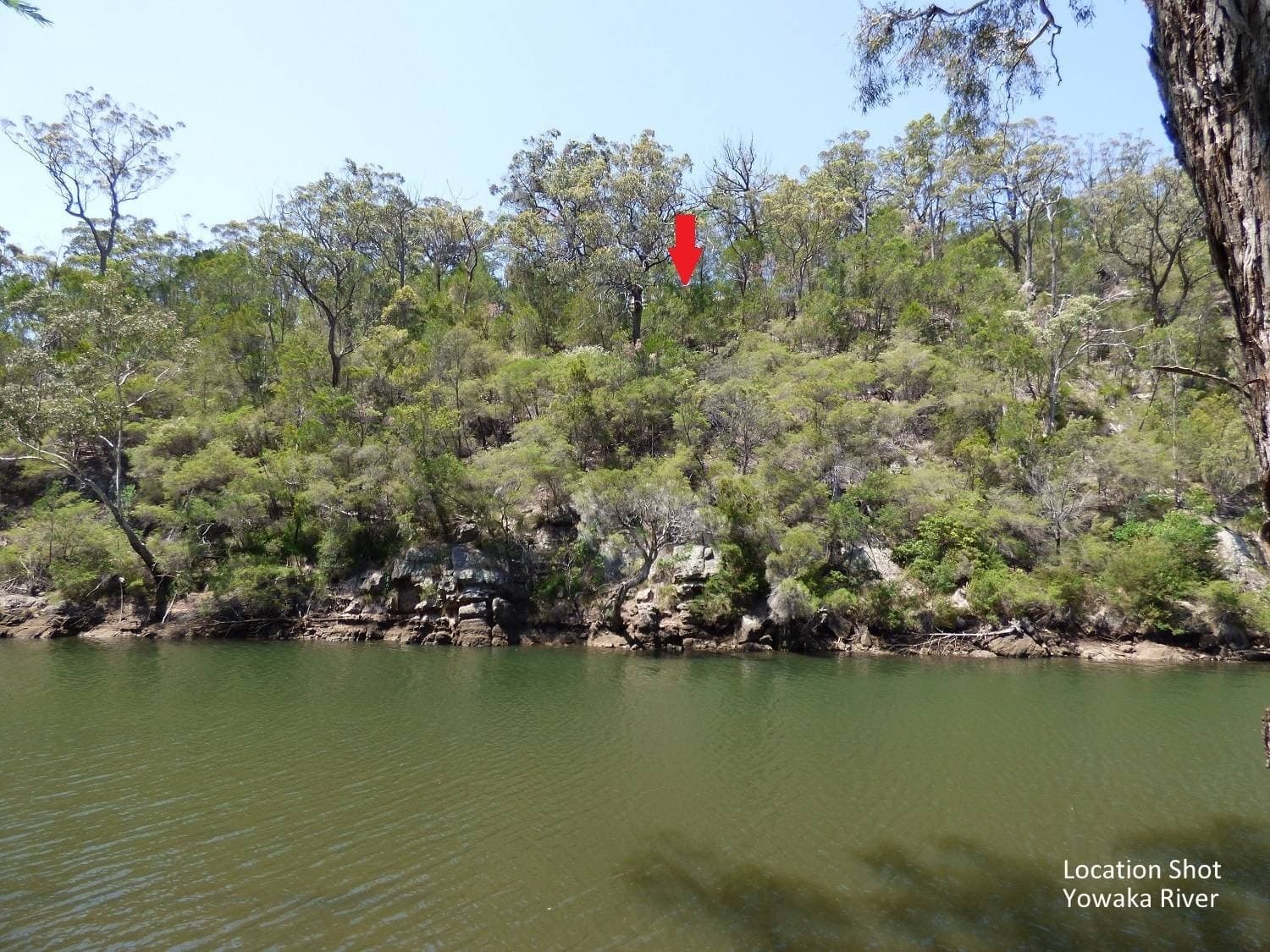 49 Settlers Road, Greigs Flat Via, Pambula, Pambula - Thumbnail 3