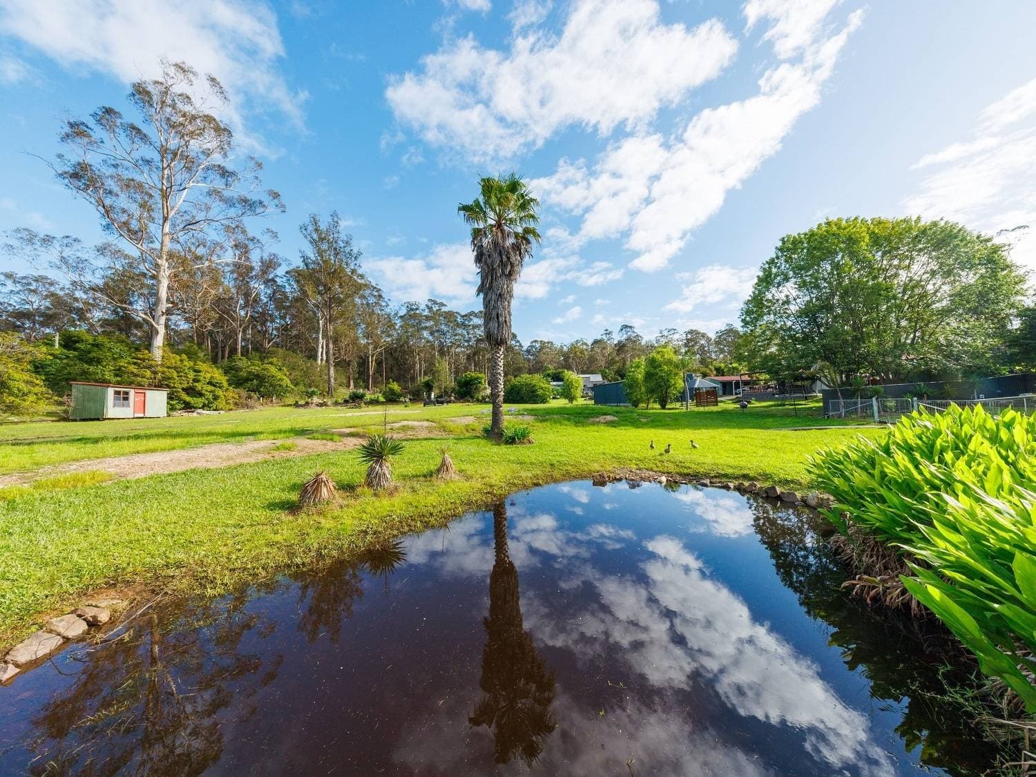 89 Toallo St, Pambula, Pambula - Thumbnail 5