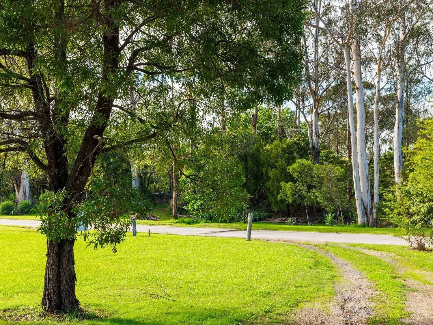 89 Toallo St, Pambula, Pambula - Thumbnail 6