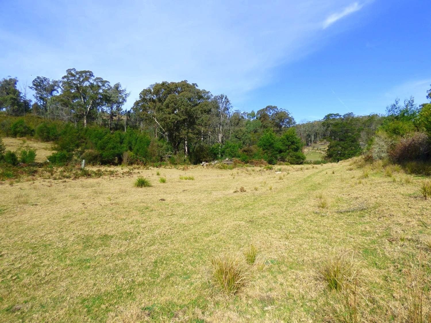 573 Towamba Road, NULLICA Via, Eden, Eden - Thumbnail 3
