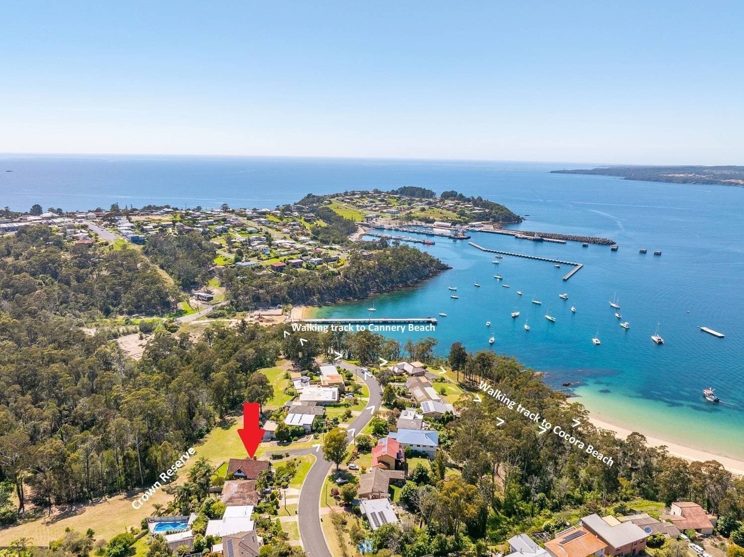 11 Bay St, Eden, Eden - Thumbnail 2