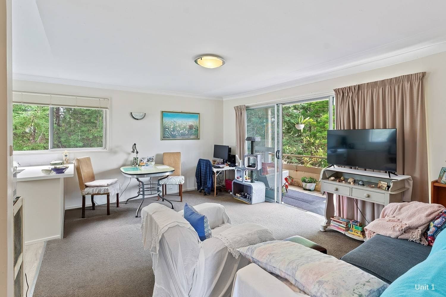 1 Emblen St, Eden, Eden - Thumbnail 5