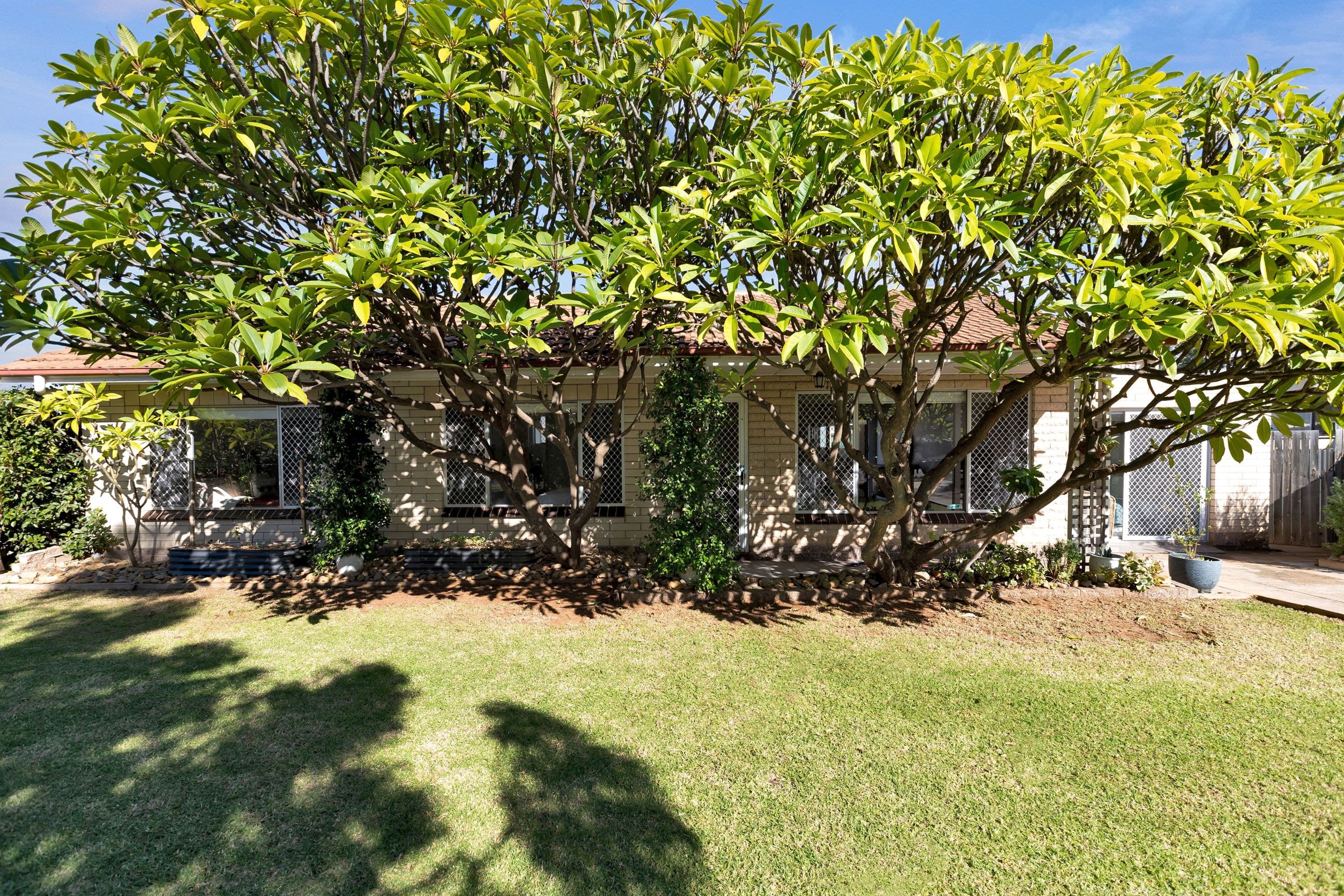 184 Commercial Street, Merbein VIC 3505, Merbein - Thumbnail 4