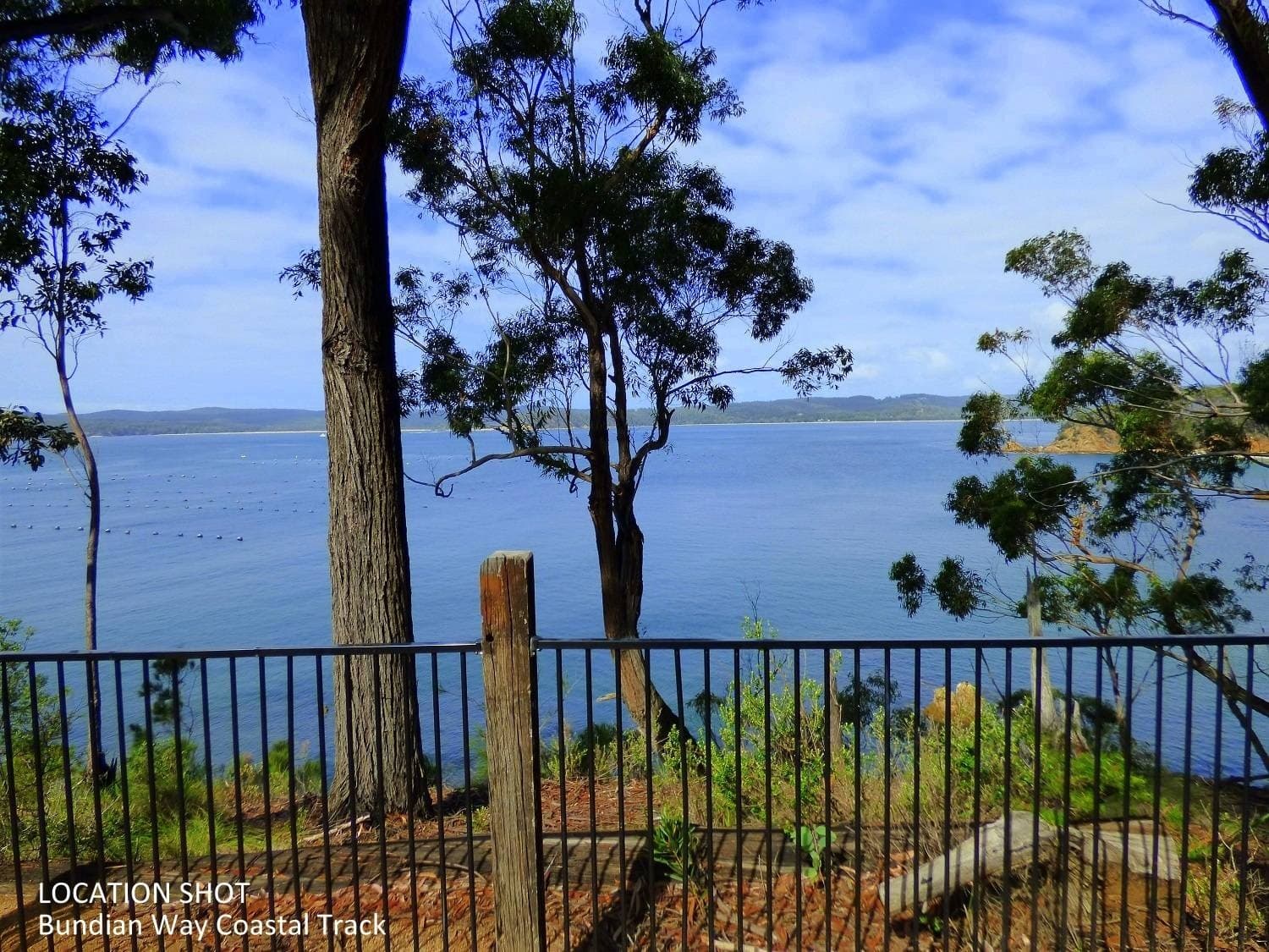 25 Whale Cove Cct, Eden, Eden - Thumbnail 3