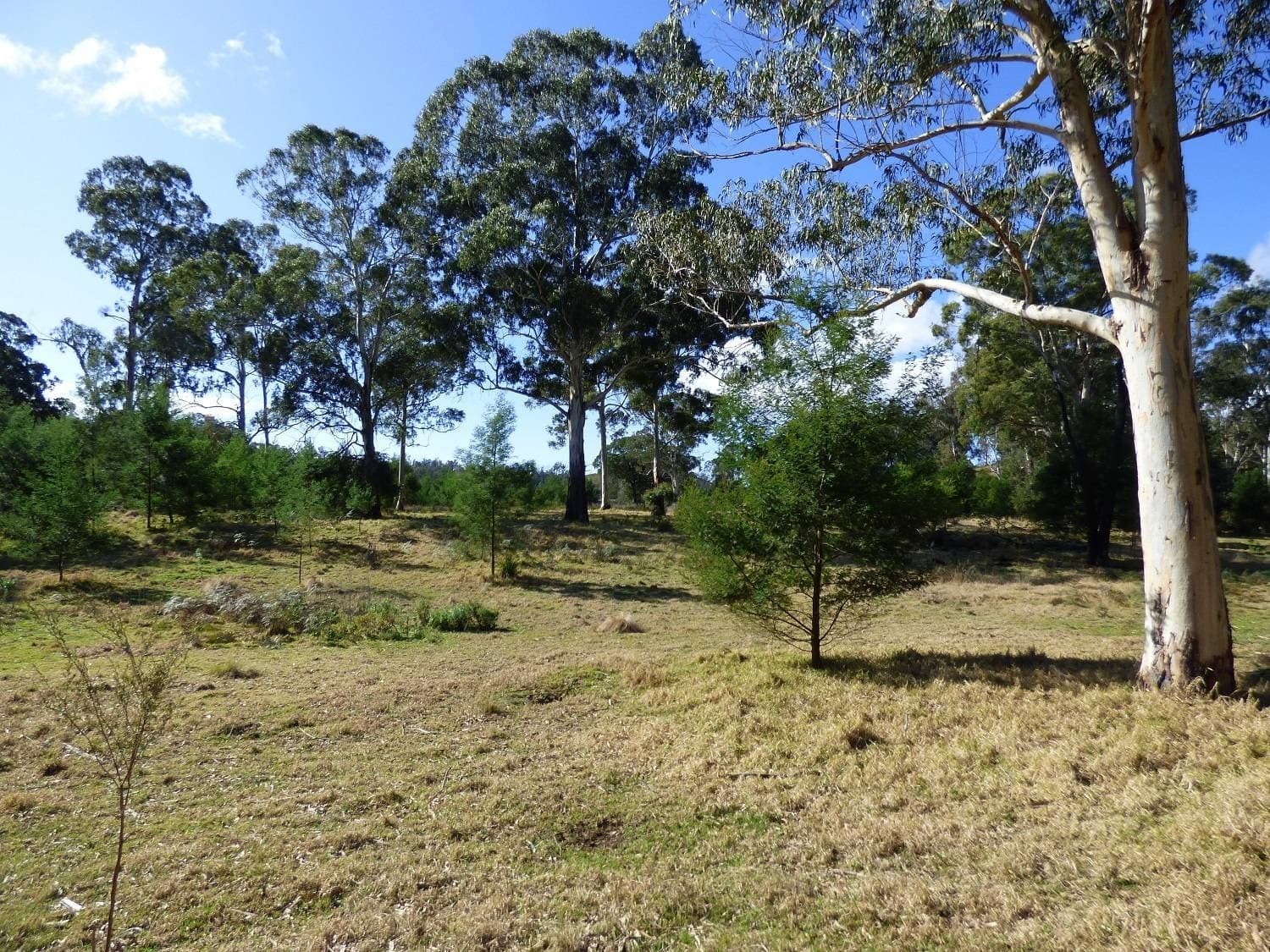 1394 Princes Hwy, KIAH Via, Eden, Eden - Thumbnail 3