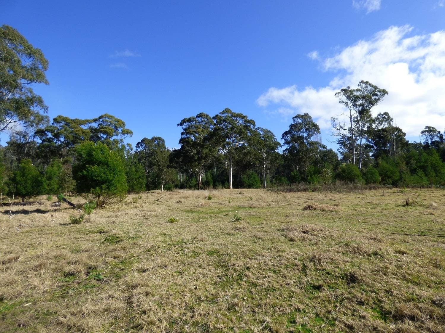 1394 Princes Hwy, KIAH Via, Eden, Eden - Thumbnail 4