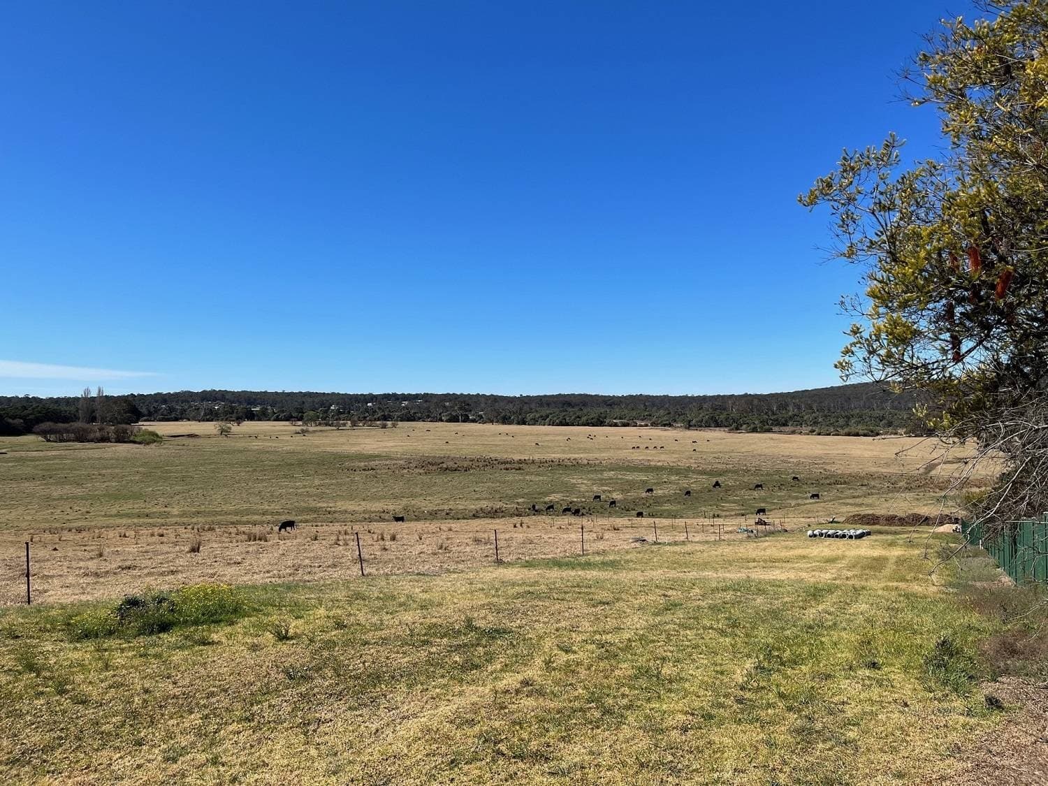 28A Princes Highway, South Pambula, South Pambula - Thumbnail 6