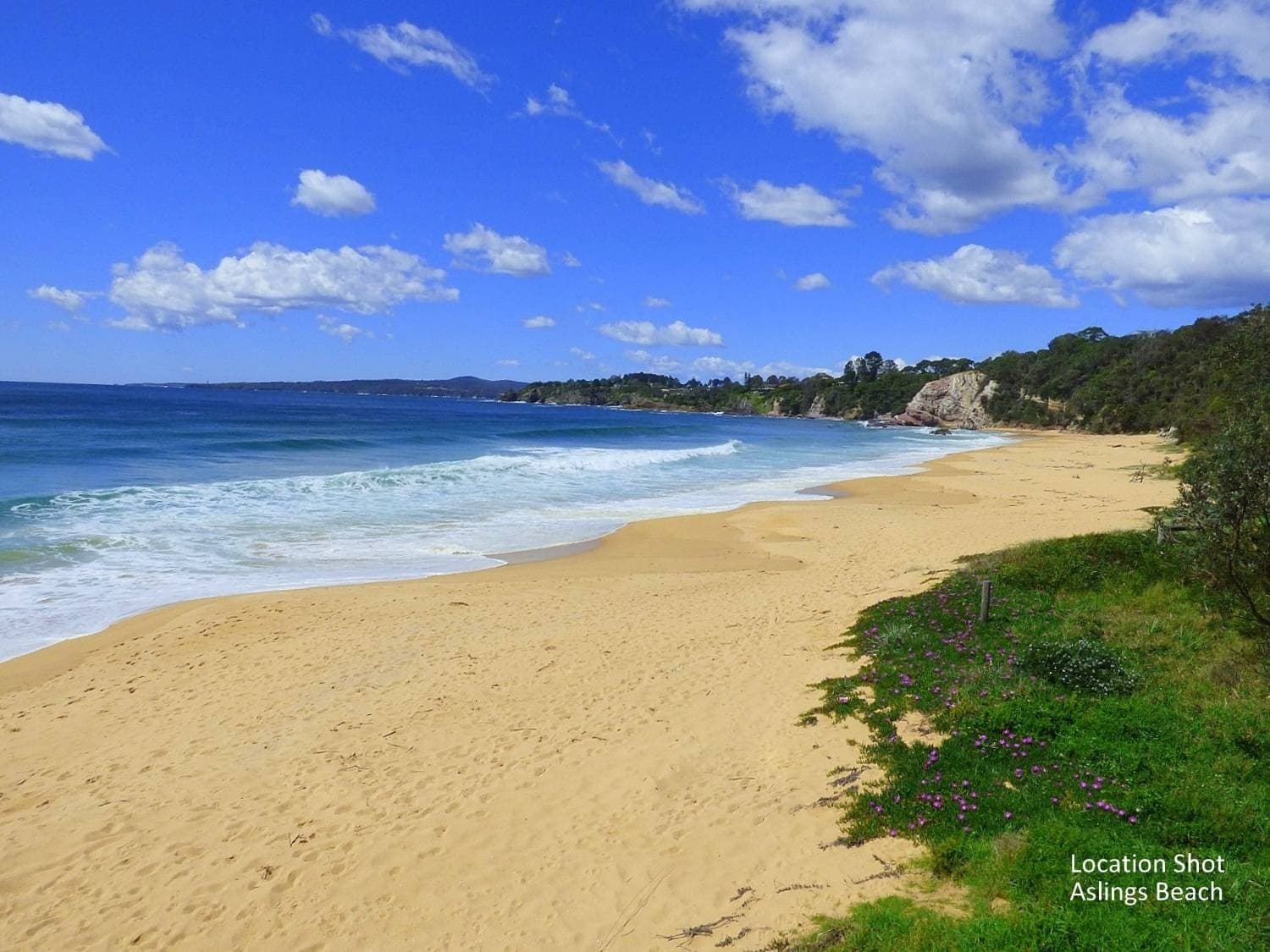 Lot 4 Rixon, 81 Princes Highway, Eden, Eden - Thumbnail 4