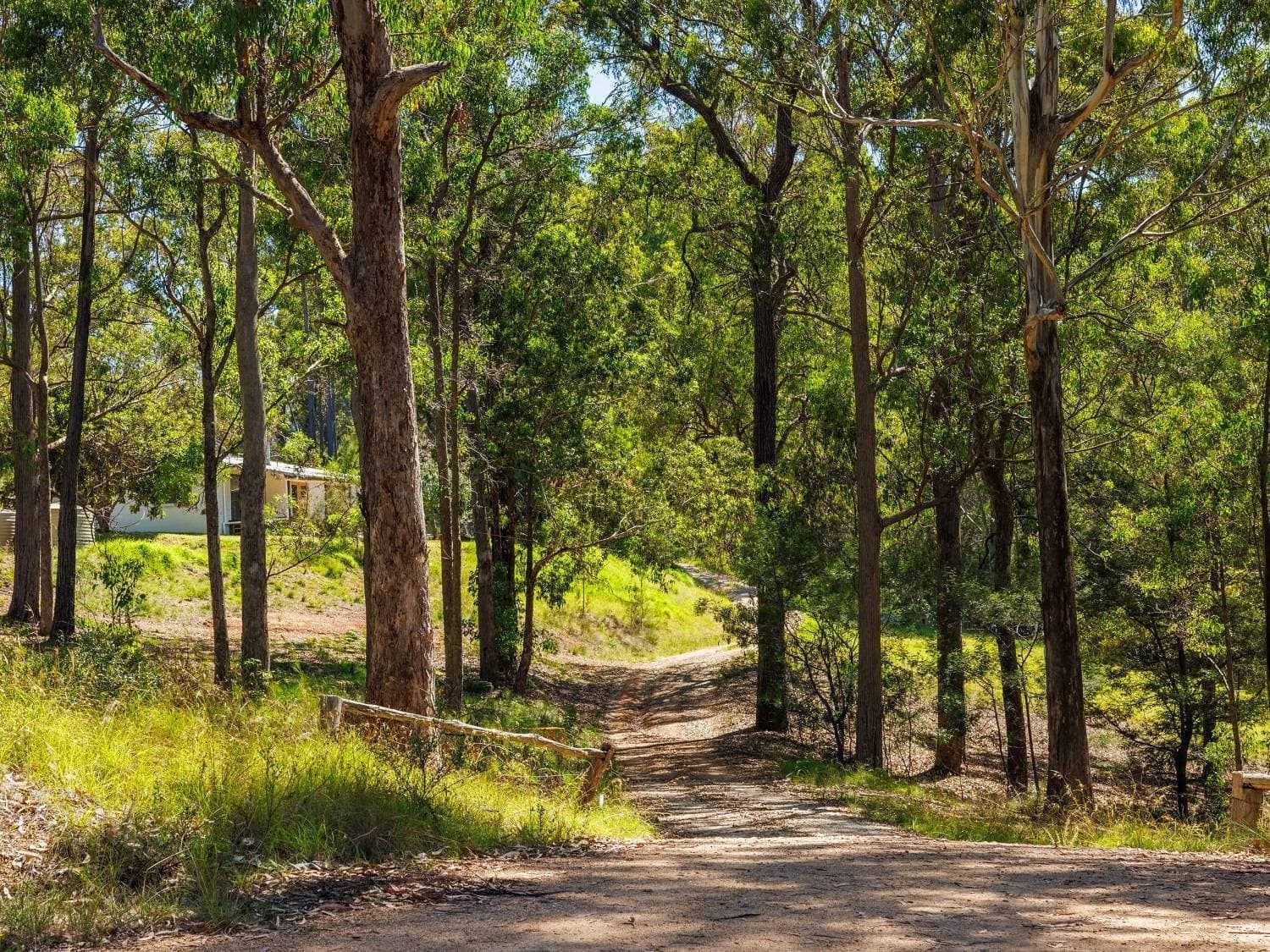 218 Back Creek Rd, Nethercote, Nethercote - Thumbnail 2