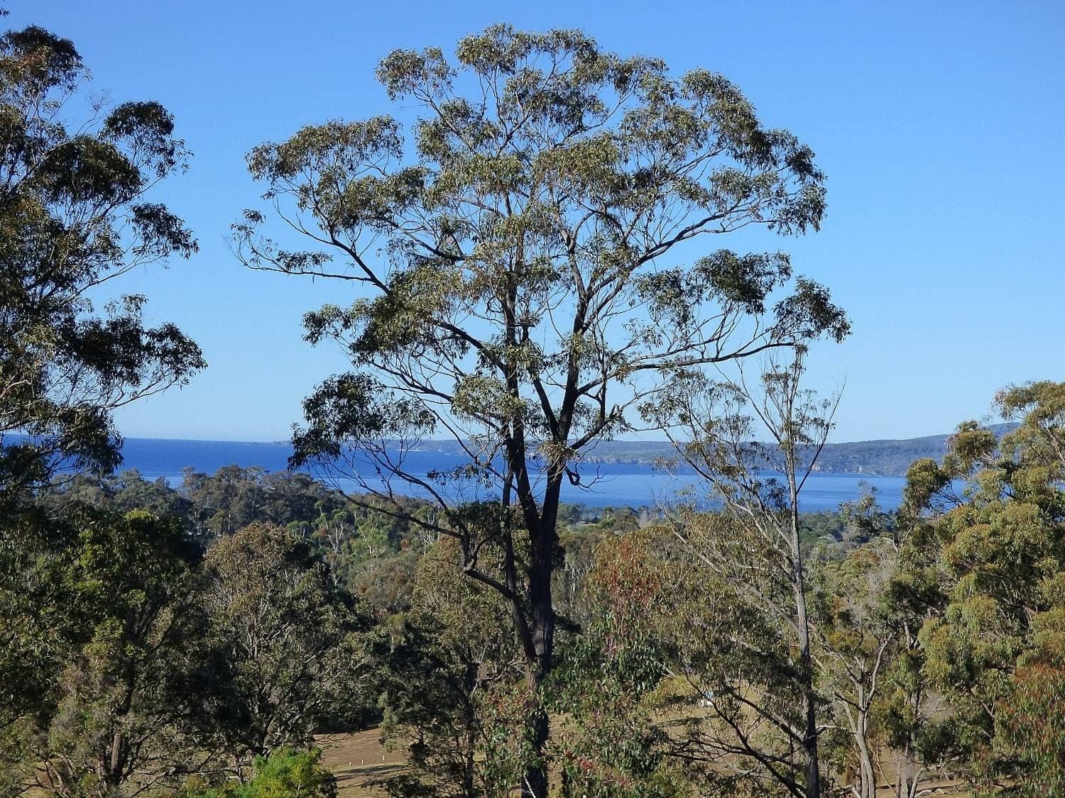 36 Komirra Dr, Eden, Eden - Image 1