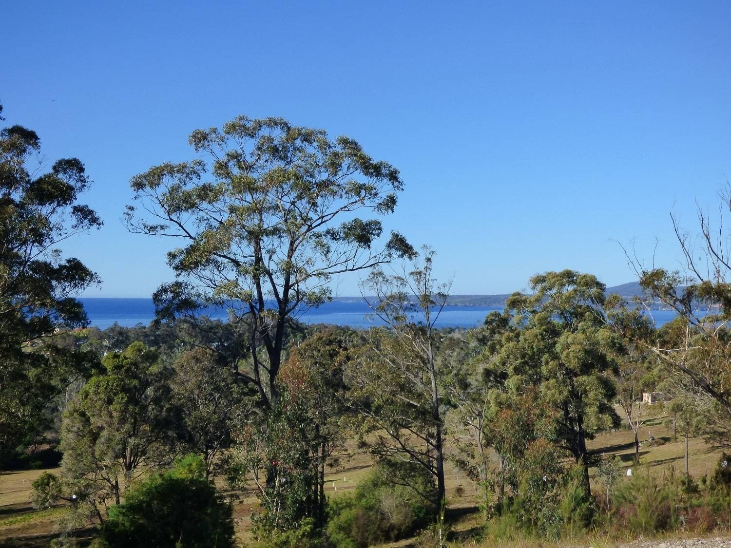36 Komirra Dr, Eden, Eden - Thumbnail 6