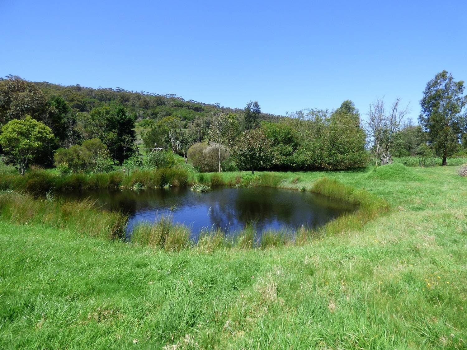 Lot 713 Manuka Lane, Eden, Eden - Thumbnail 6