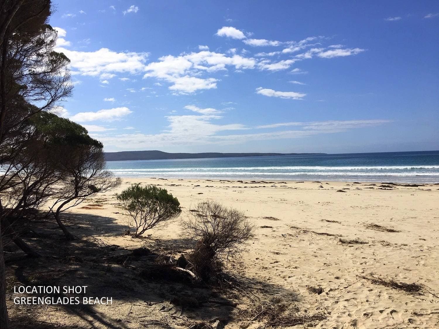 12-16 Acacia Avenue, WONBOYN Via, Eden, Eden - Thumbnail 4