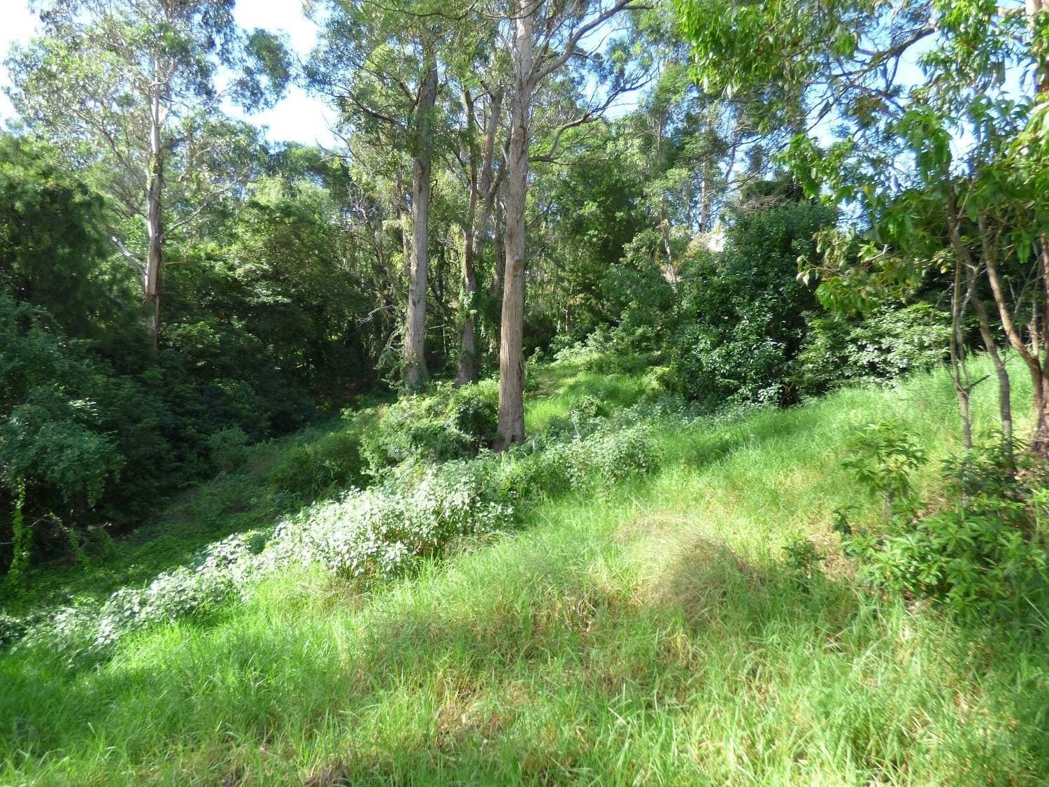 Lot 1 Twofold Court, Eden, Eden - Thumbnail 5