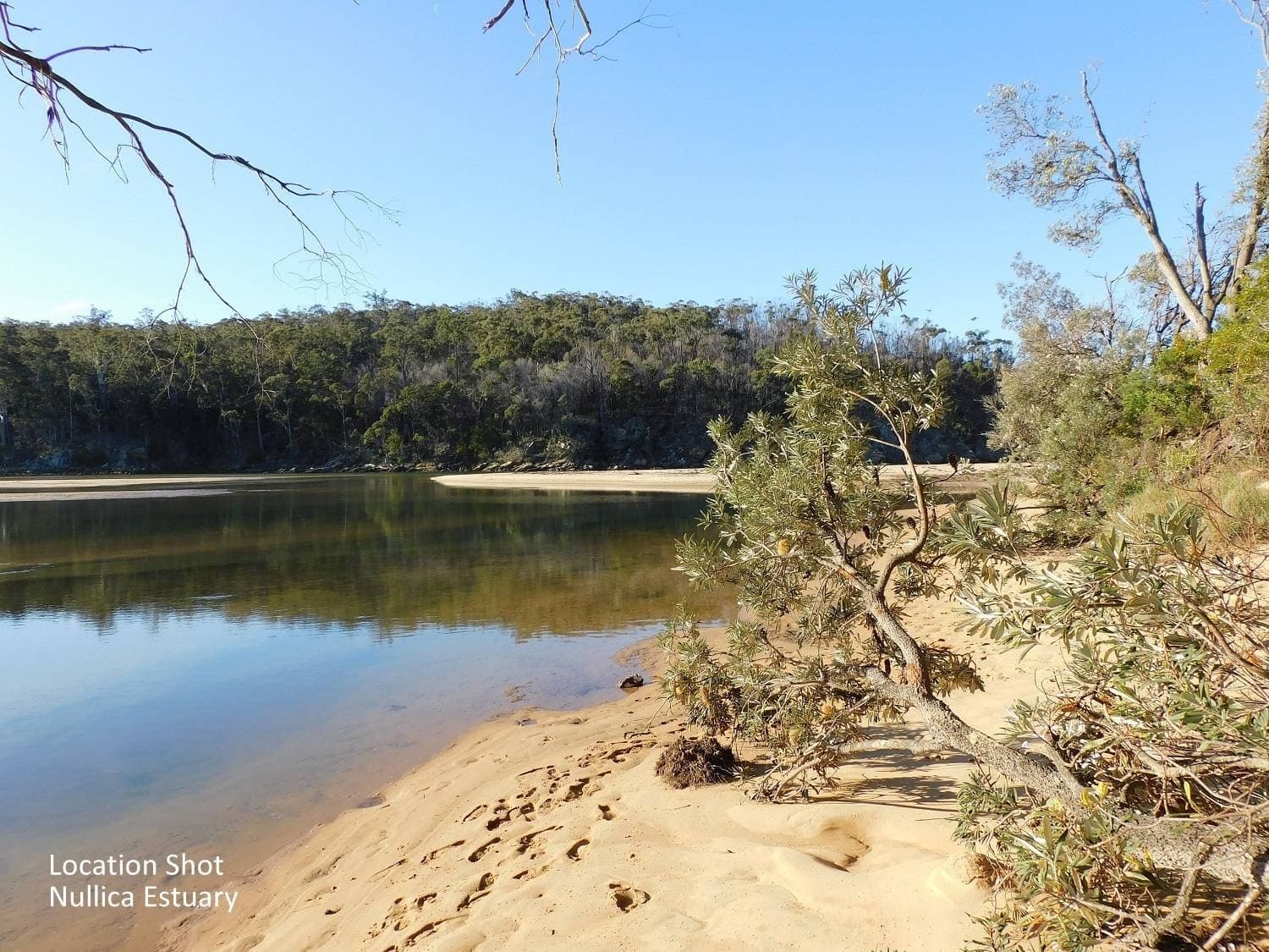 Lots 36 & 3 Nullica Short Cut Road, Boydtown Via, Eden, Eden - Thumbnail 4