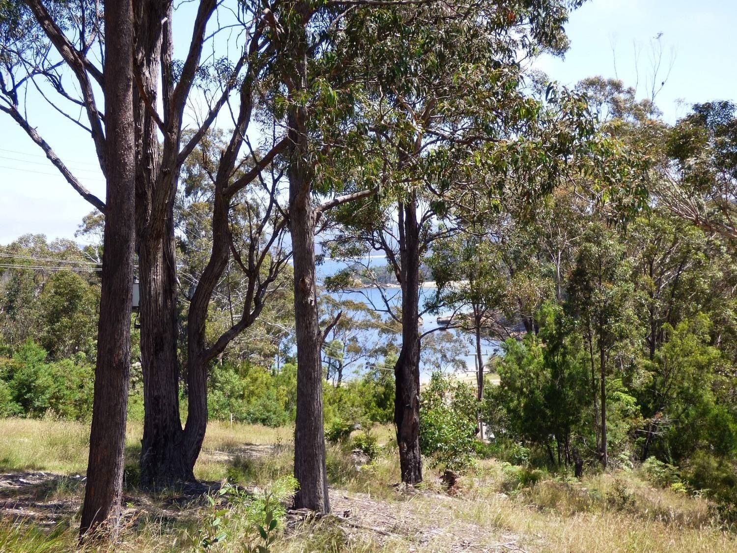 29 Chandos St, Eden, Eden - Thumbnail 2