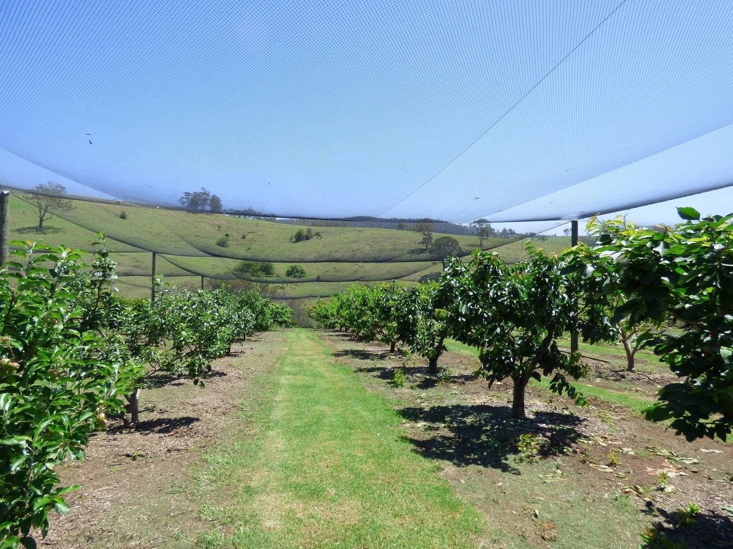 354 Bald Hills Road, Bald Hills Via, Pambula, Pambula - Thumbnail 2