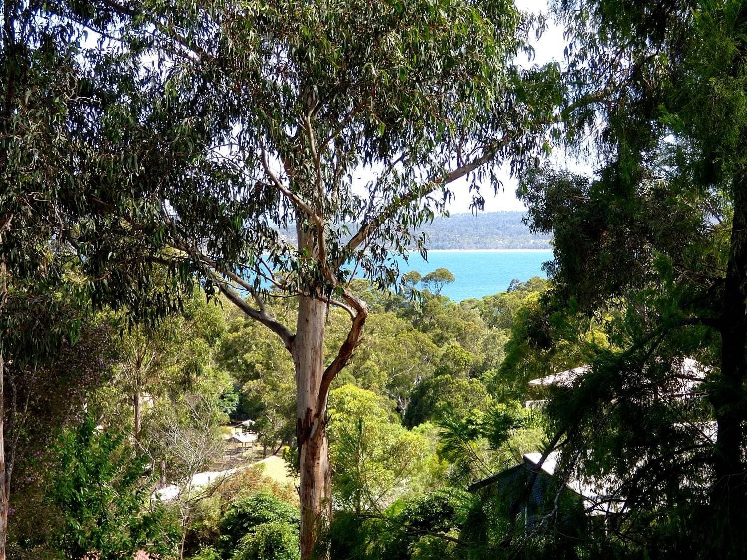 12 Andrea St, Eden, Eden - Thumbnail 7