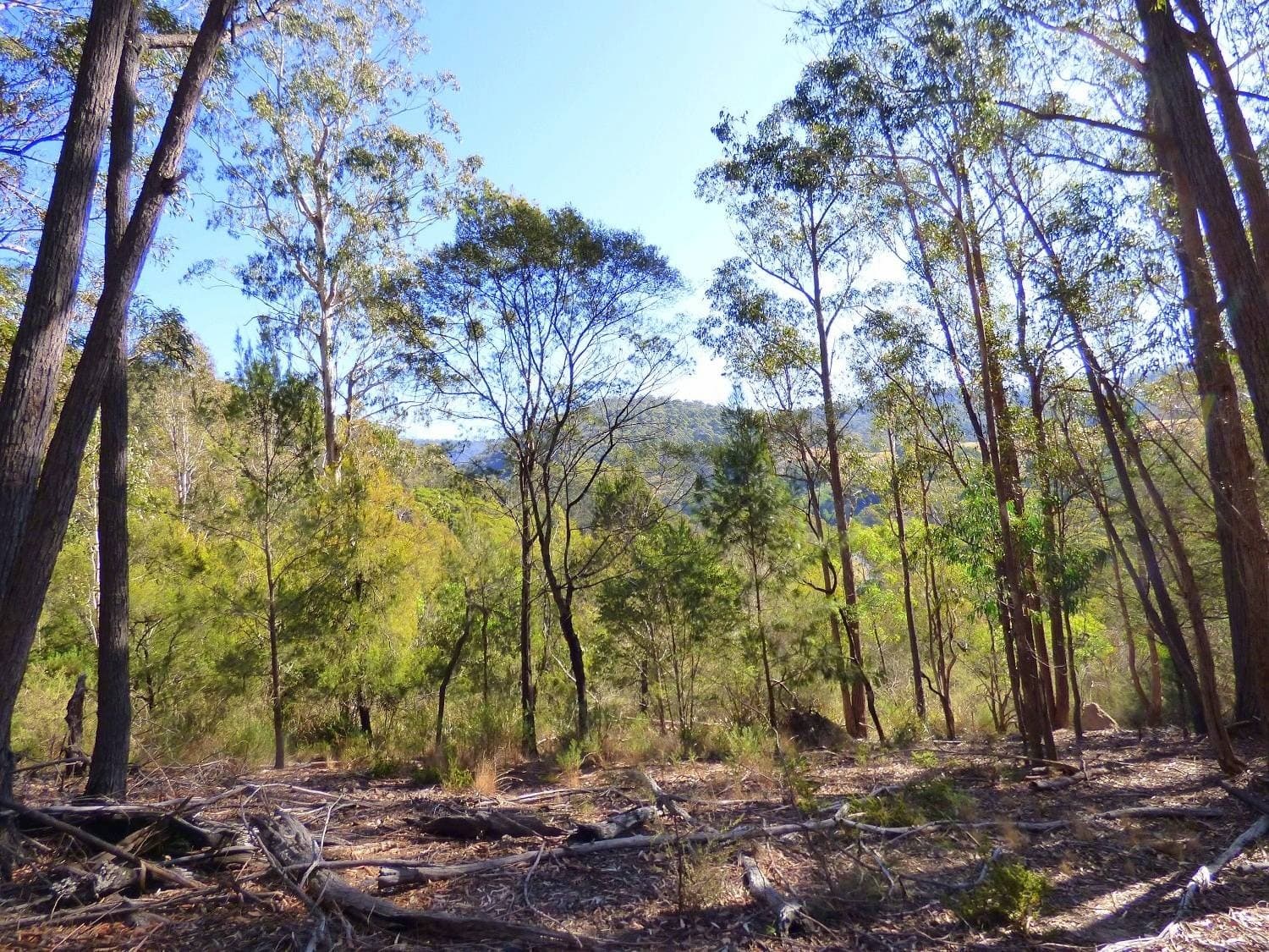 Lot 661 Mt Darragh Rd, Lochiel, Lochiel - Image 1