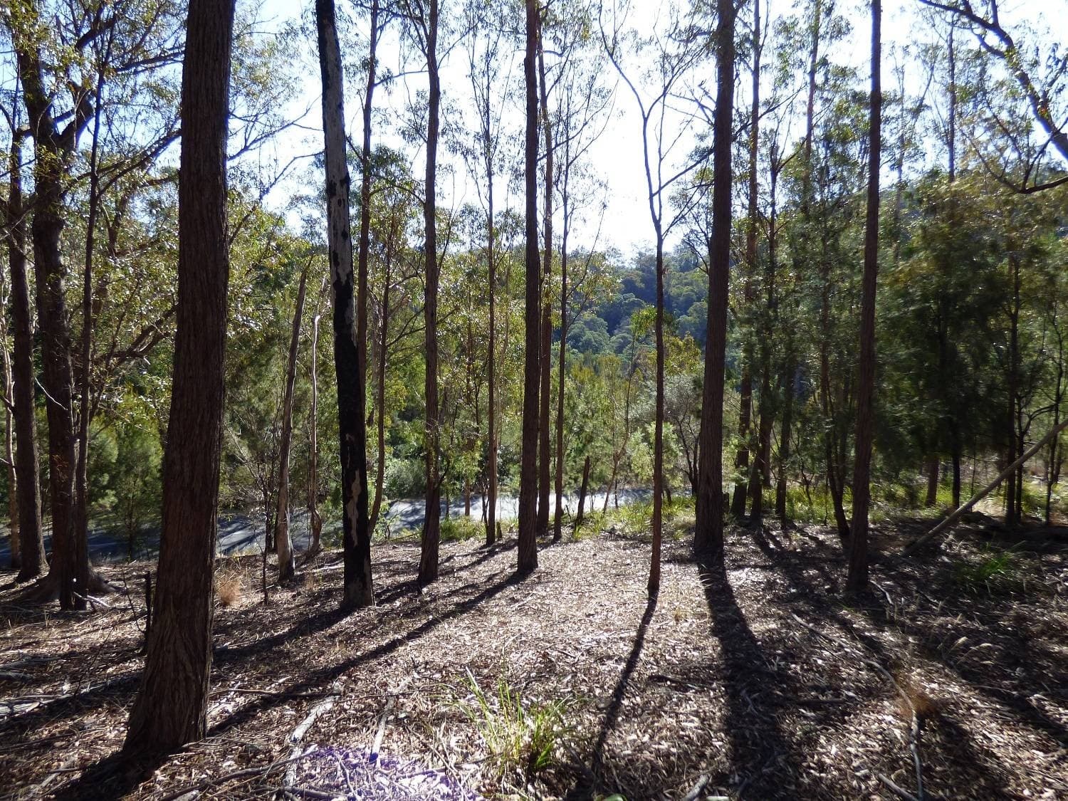 Lot 661 Mt Darragh Rd, Lochiel, Lochiel - Thumbnail 2