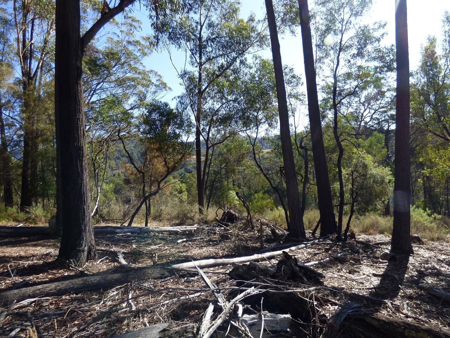 Lot 661 Mt Darragh Rd, Lochiel, Lochiel - Thumbnail 3