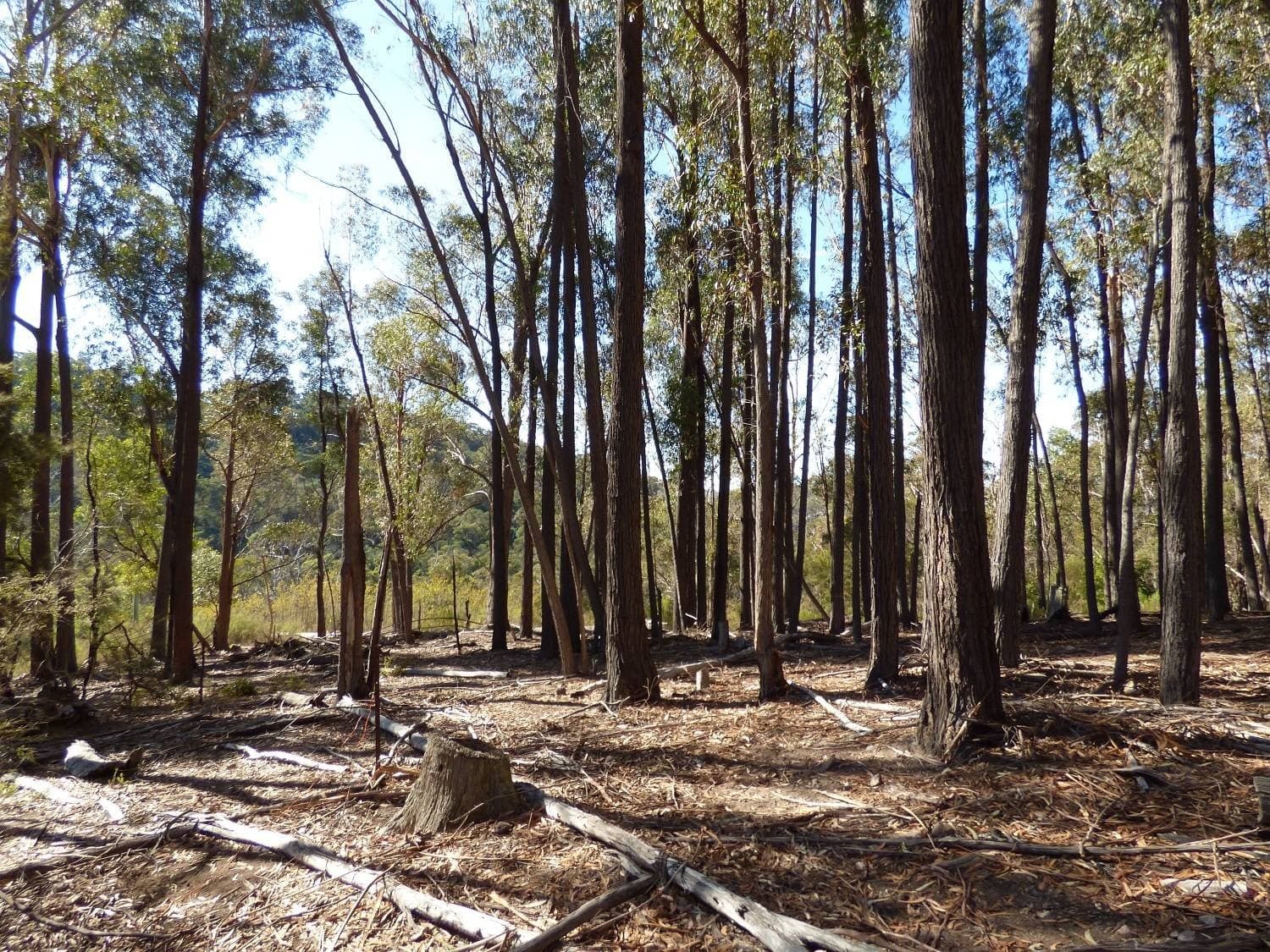 Lot 661 Mt Darragh Rd, Lochiel, Lochiel - Thumbnail 4