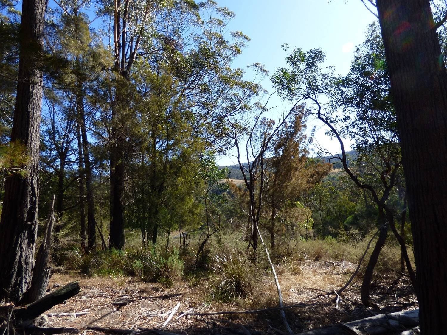 Lot 661 Mt Darragh Rd, Lochiel, Lochiel - Thumbnail 5