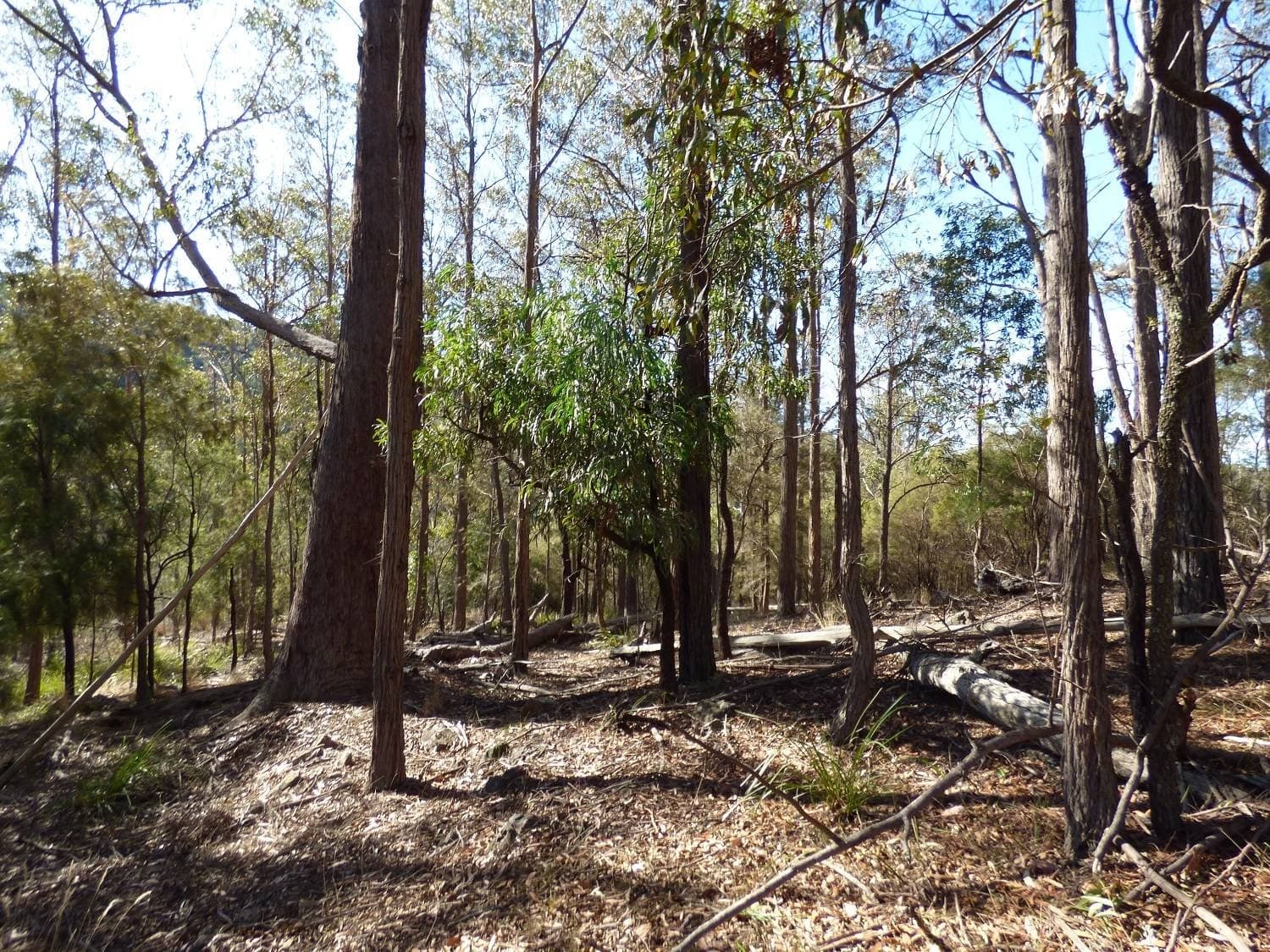 Lot 661 Mt Darragh Rd, Lochiel, Lochiel - Thumbnail 6
