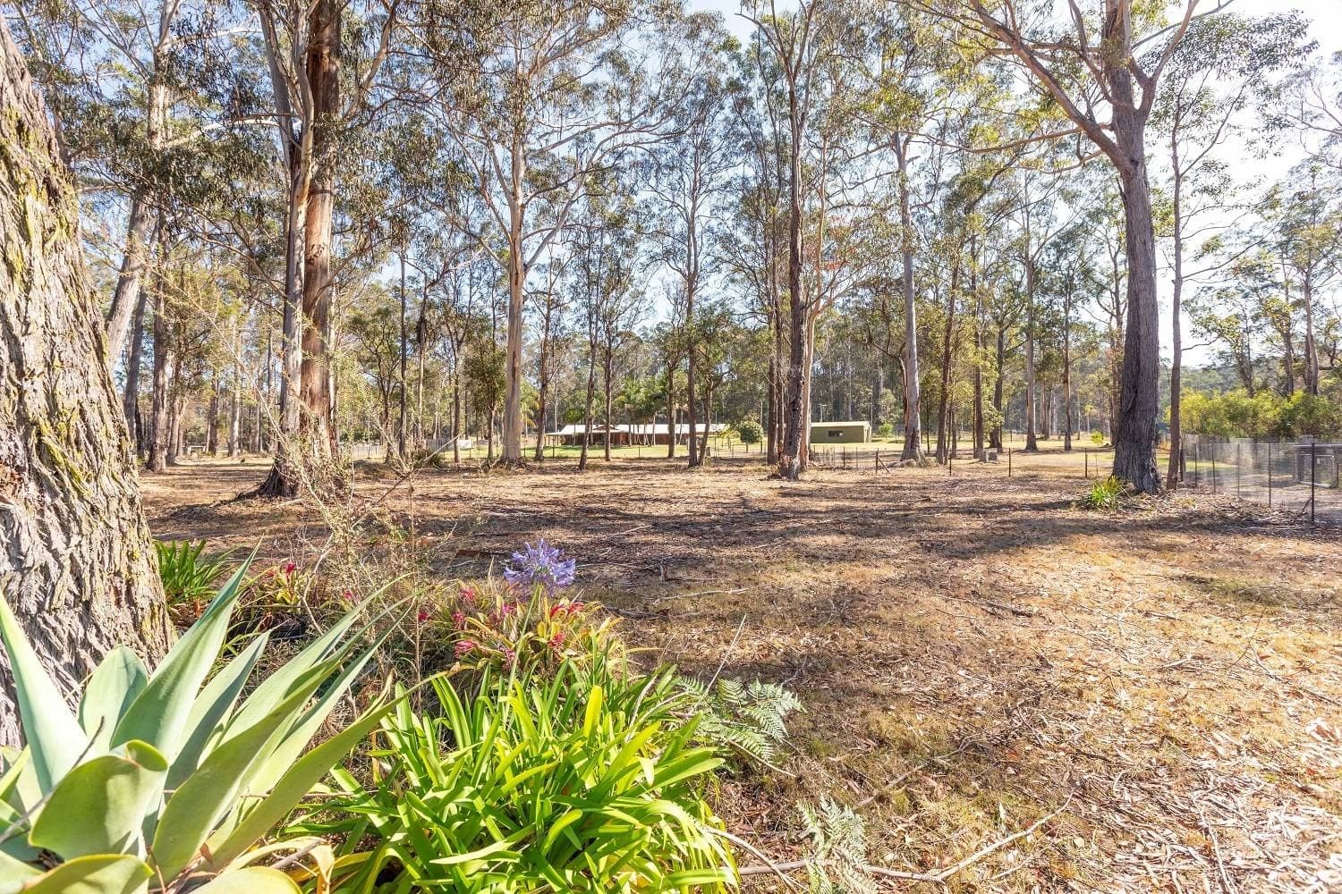 68 Bowerbird Pl, Eden, Eden - Thumbnail 2
