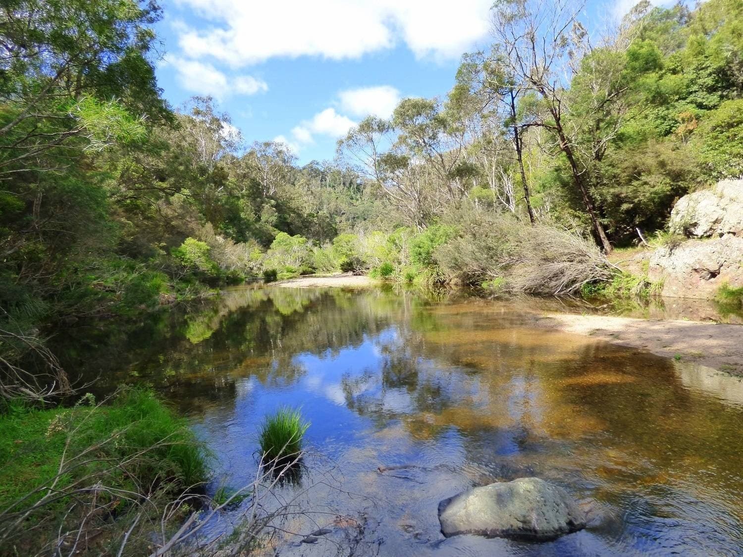 50 Omaru Lane, BALD HILLS Via, Pambula, Pambula - Thumbnail 3