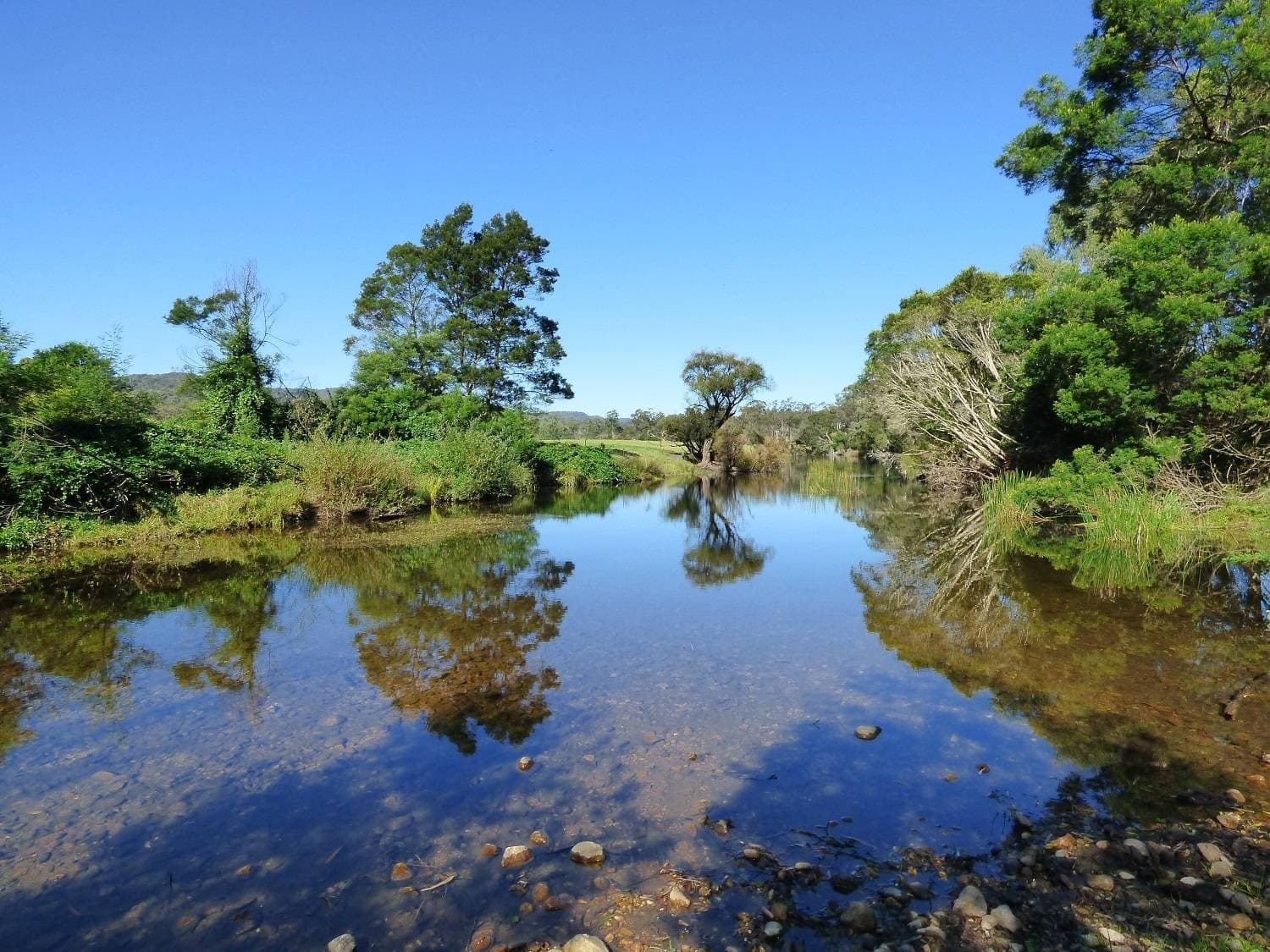 1570 Nethercote Road, Greigs Flat Via, Pambula, Pambula - Thumbnail 3