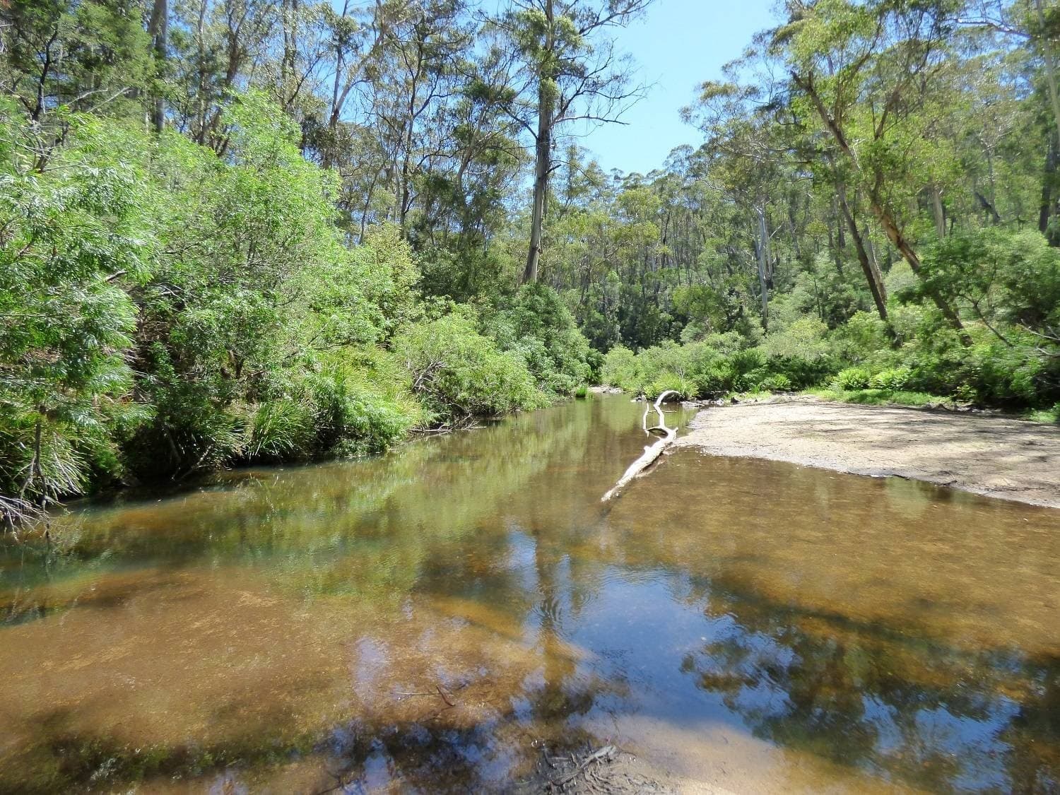 2331 Mount Darragh Rd, Wyndham, Wyndham - Thumbnail 3