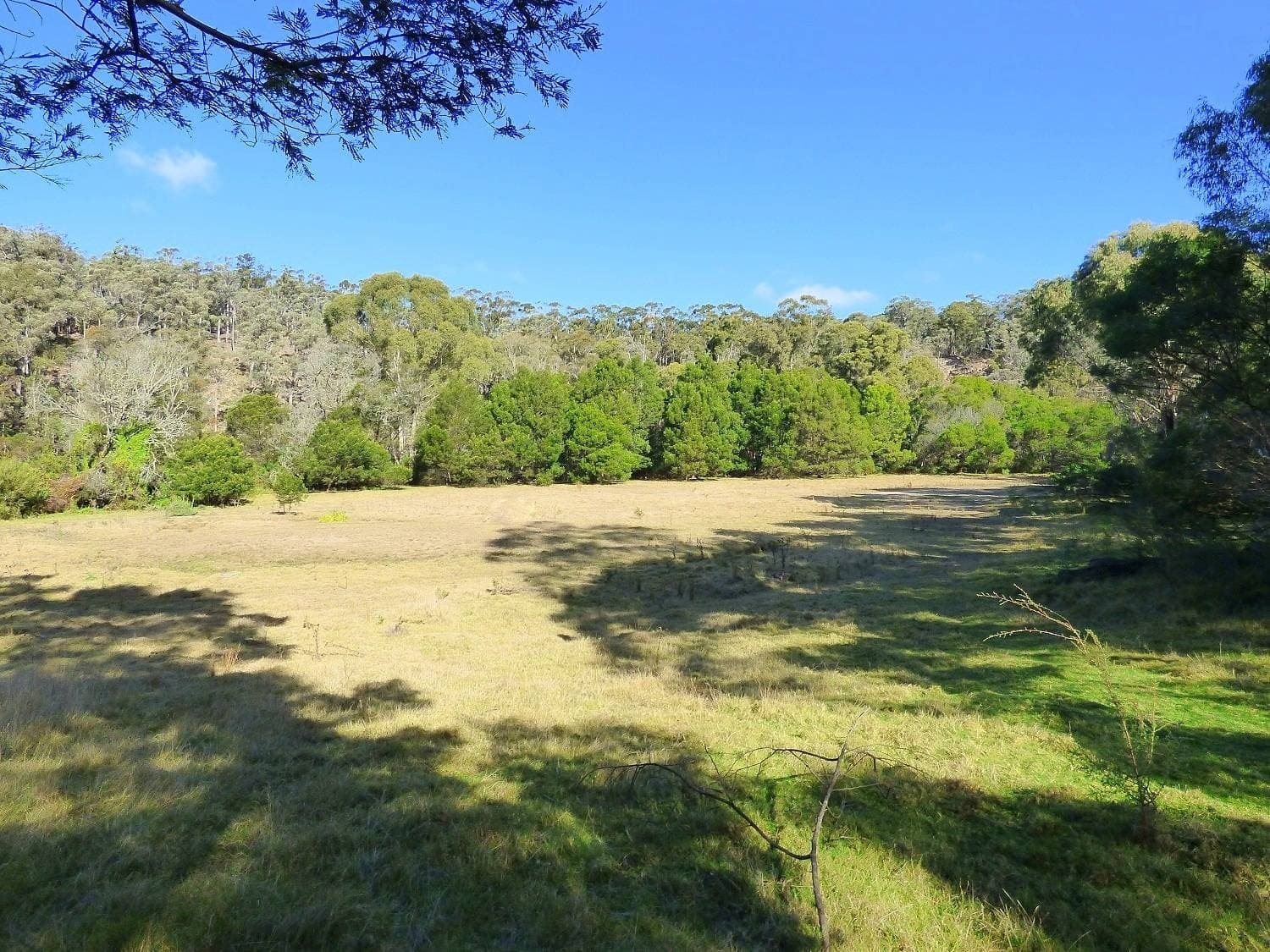 Lots 3,4 & 29 Mount Darragh Road, Lochiel, Lochiel - Thumbnail 3