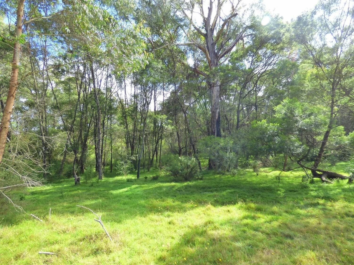 Lots 3,4 & 29 Mount Darragh Road, Lochiel, Lochiel - Thumbnail 4