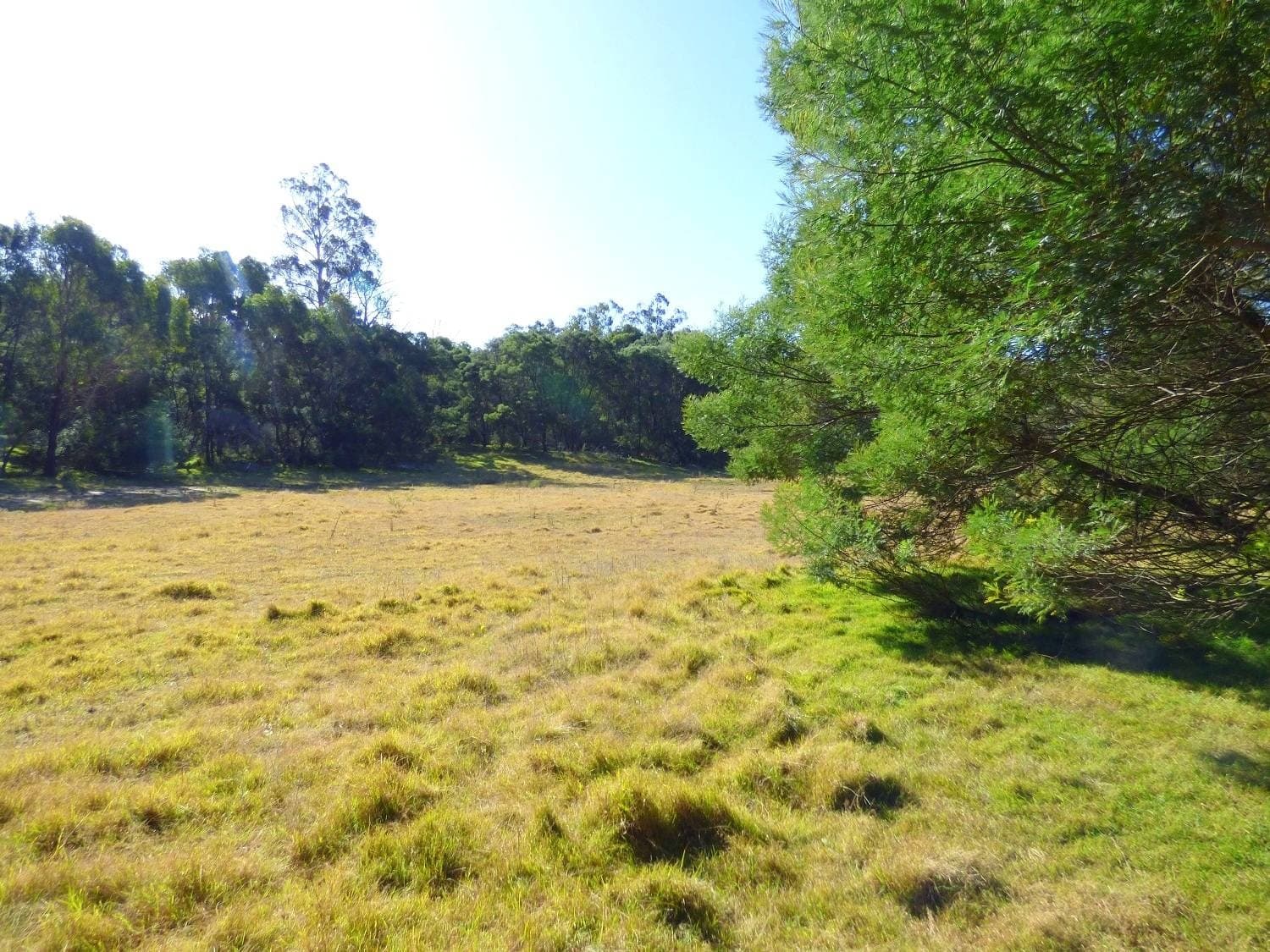 Lots 3,4 & 29 Mount Darragh Road, Lochiel, Lochiel - Thumbnail 7