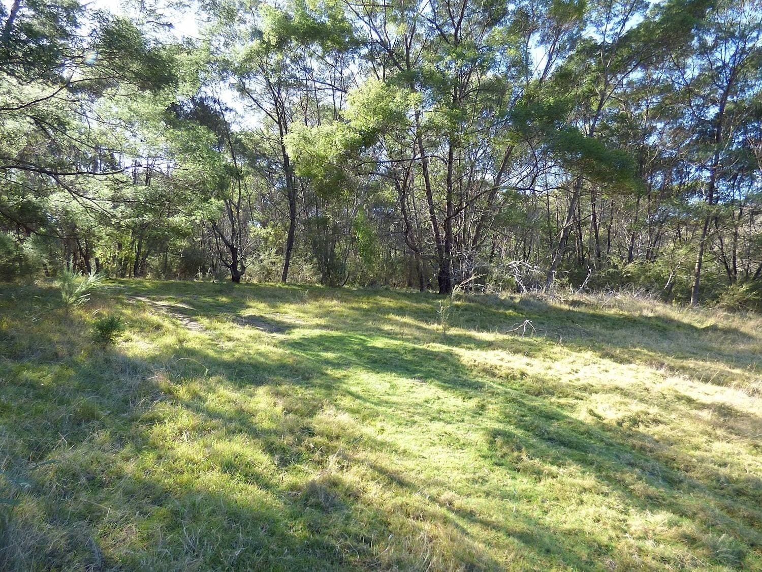 Lots 3,4 & 29 Mount Darragh Road, Lochiel, Lochiel - Thumbnail 8